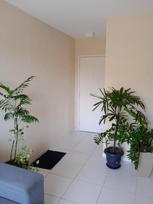 Apartamento aconchegante