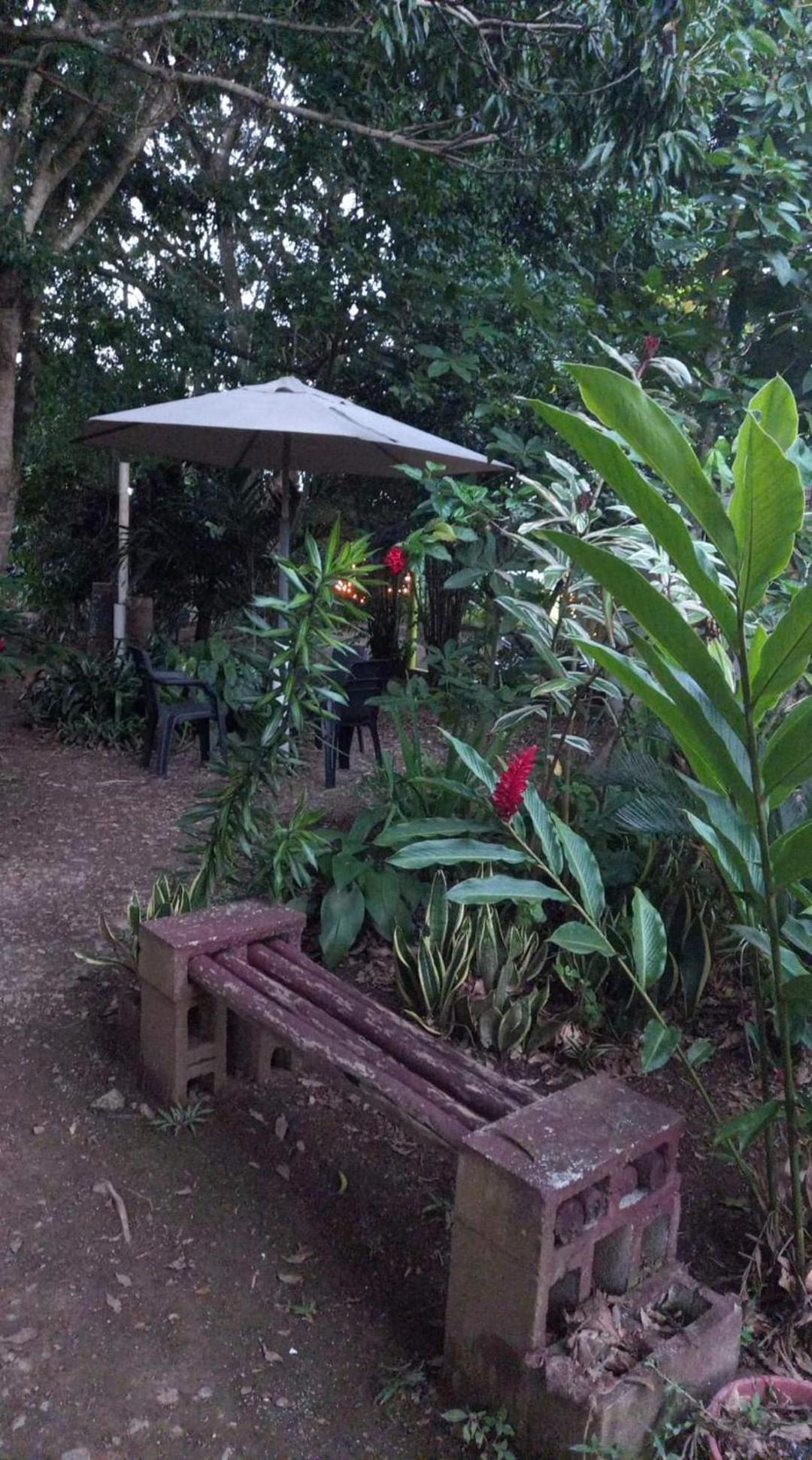 El Conuco de Doña Ana view 2