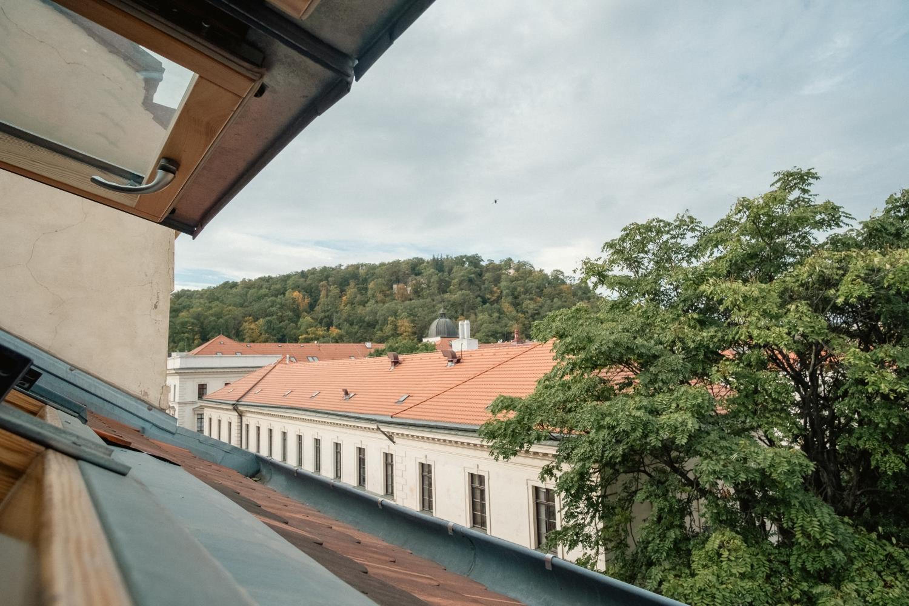 MIZU House by Prague Days