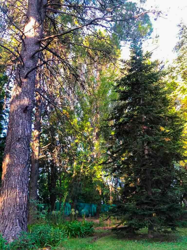 Escapada Exclusiva en Finca con Viñedos y Olivares Relájate en la Naturaleza con Confort y Encanto
