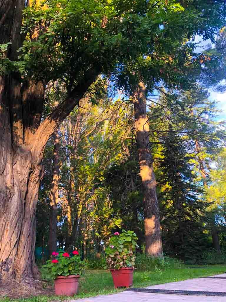 Escapada Exclusiva en Finca con Viñedos y Olivares Relájate en la Naturaleza con Confort y Encanto