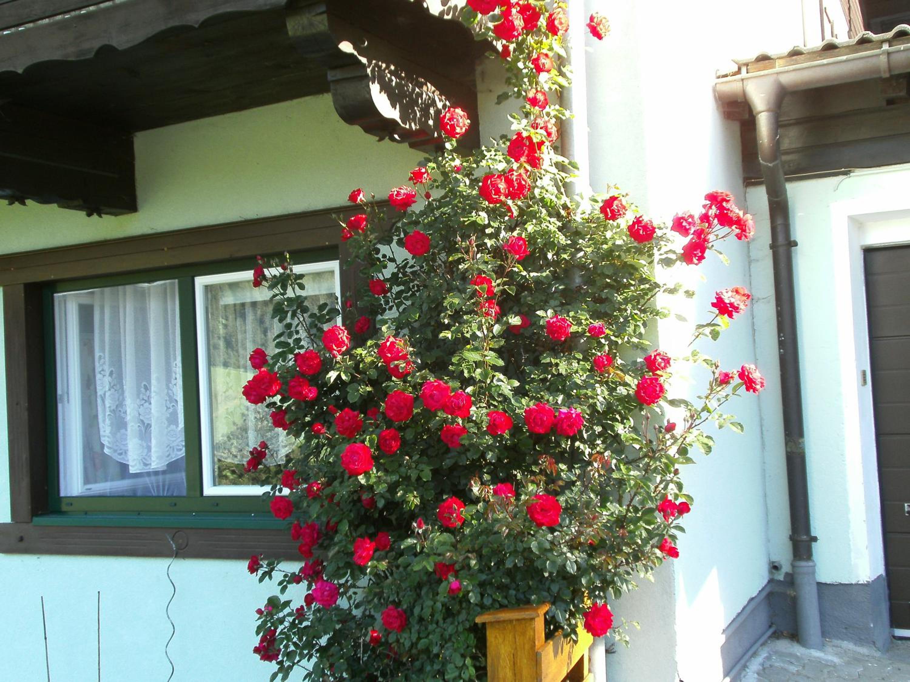 Gästehaus Zum Tauern