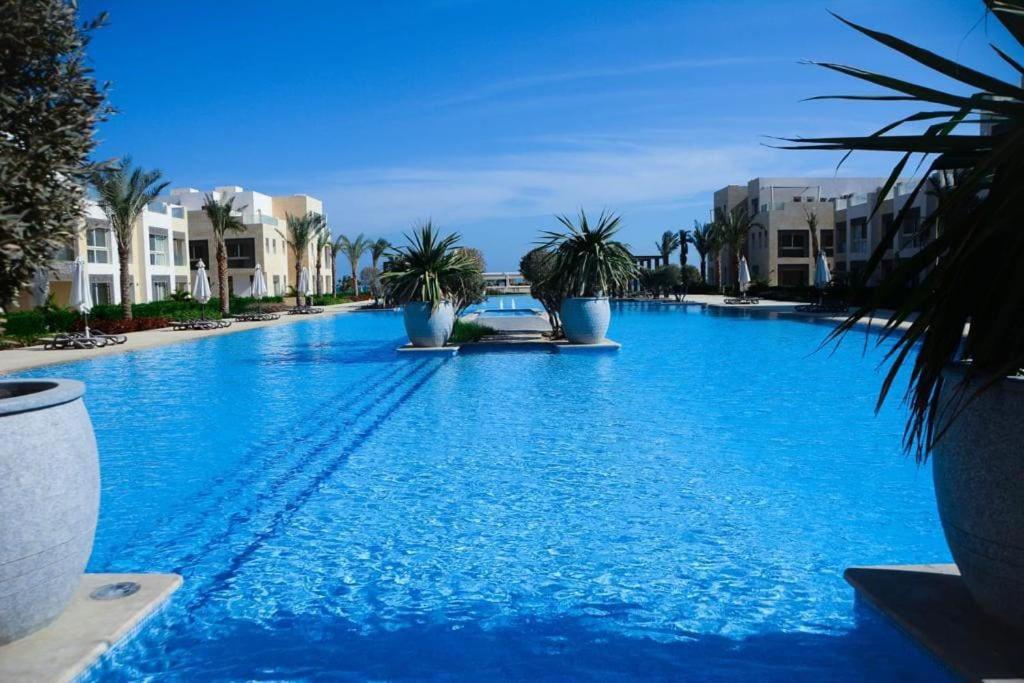 Hotel Mangroovy El-gouna 1 Bedroom