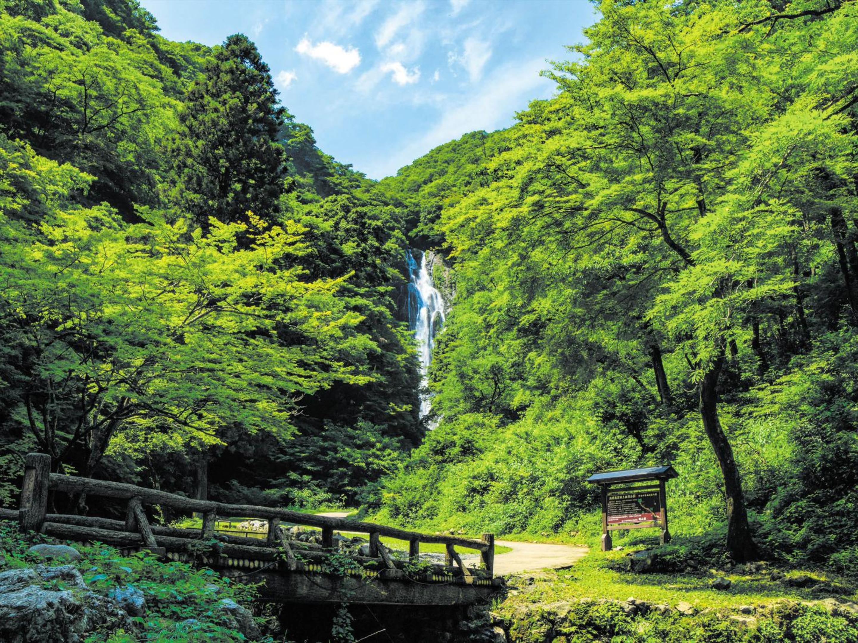 Ooedo Onsen Monogatari Terunoyu
