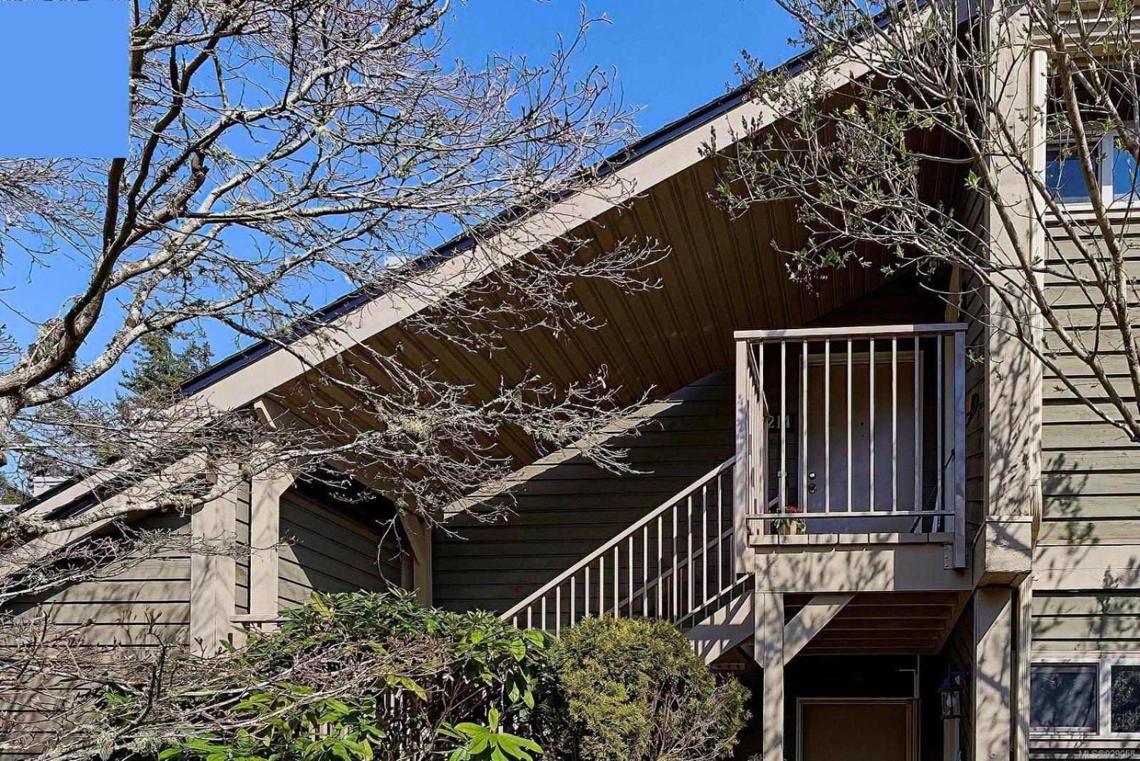 Oceanfront Studio with Loft - amazing views!