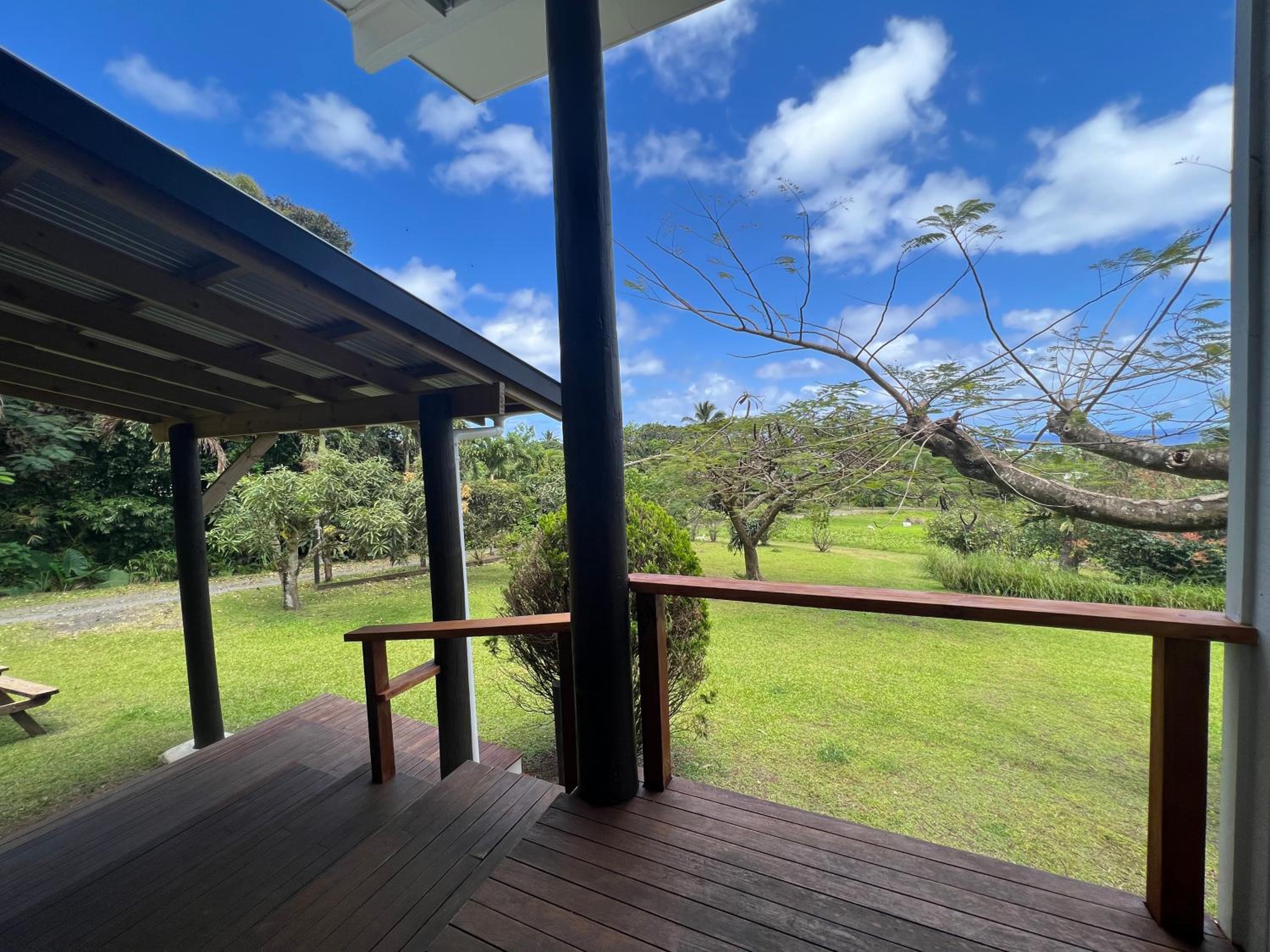 Avocado Retreat