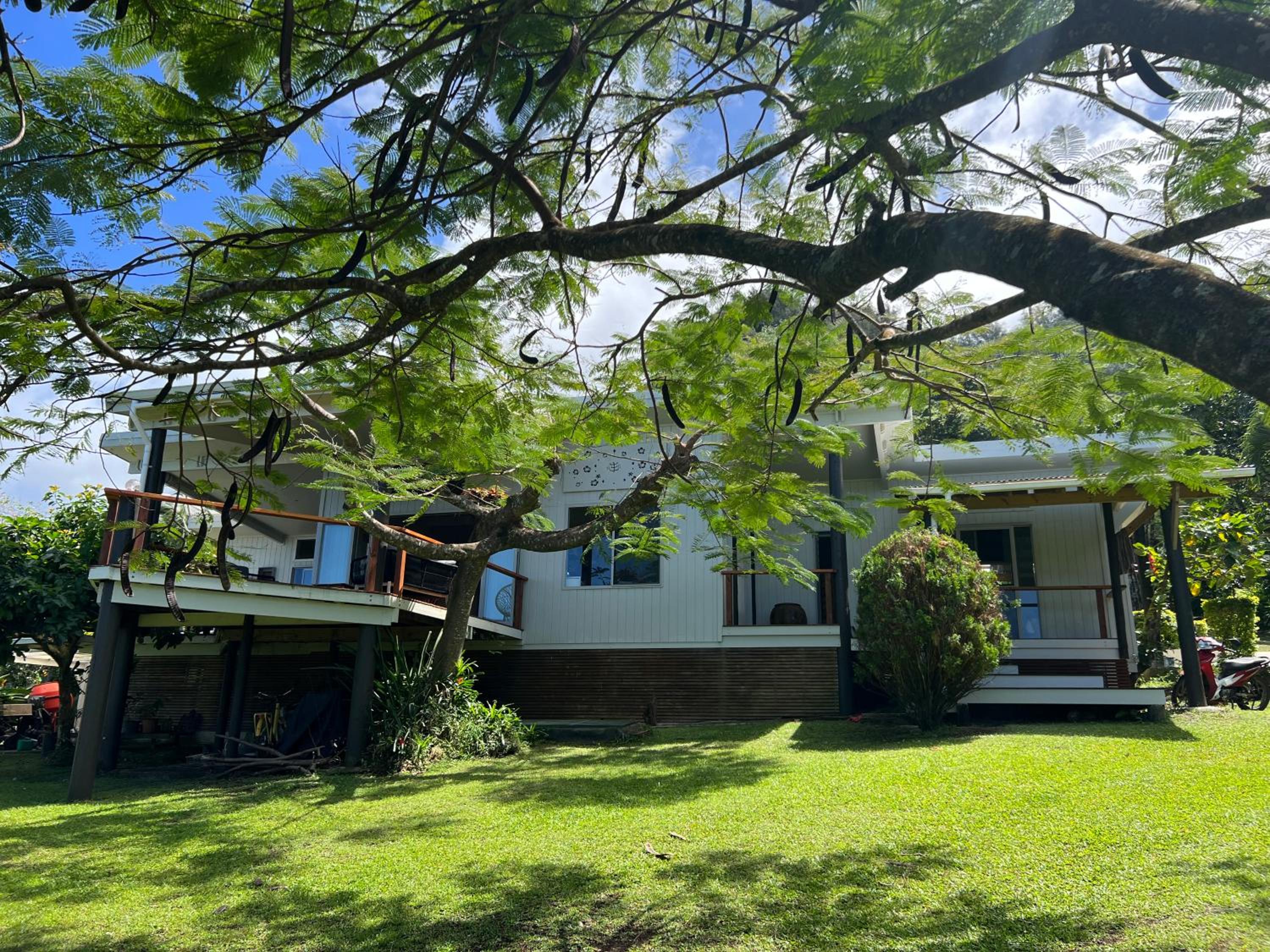 Avocado Retreat