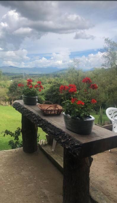 Cabaña con vista en fraccionamiento Country Club view 2
