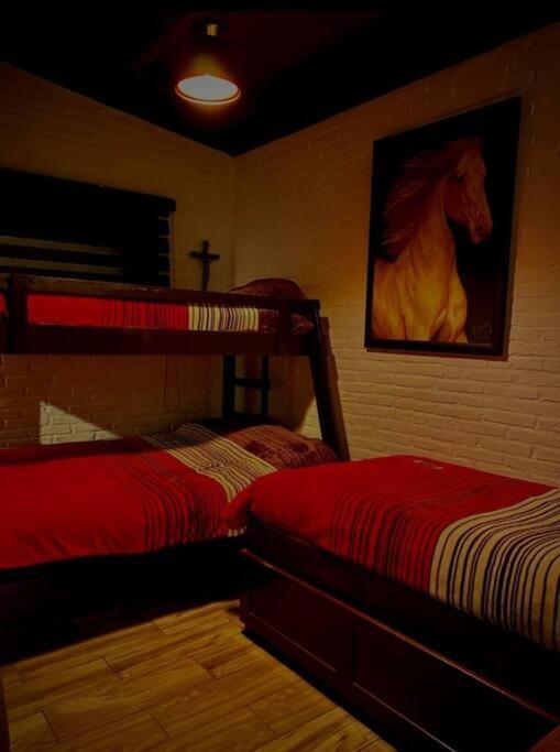 Photo 26
