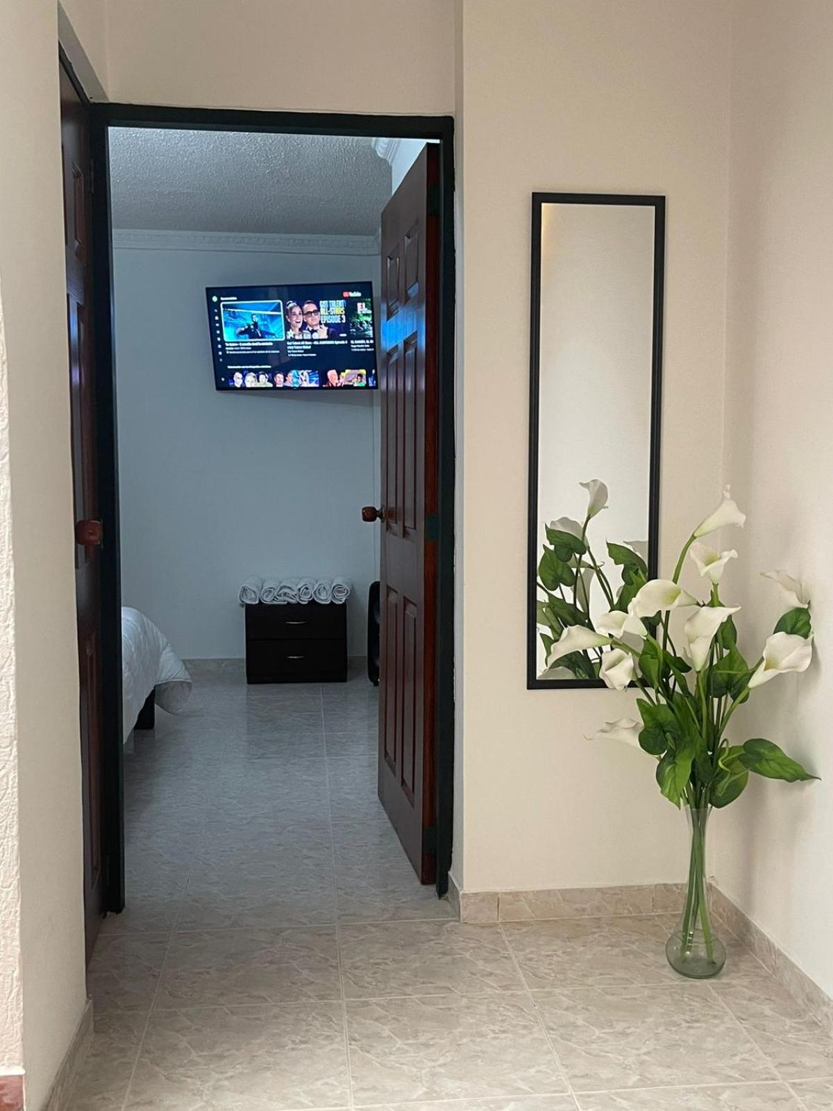Apartamento para máximo 3 personas, habitación privada con cama doble , dos sofá cama, comodo, bonito, central, bien ubicado, en el centro de palmira