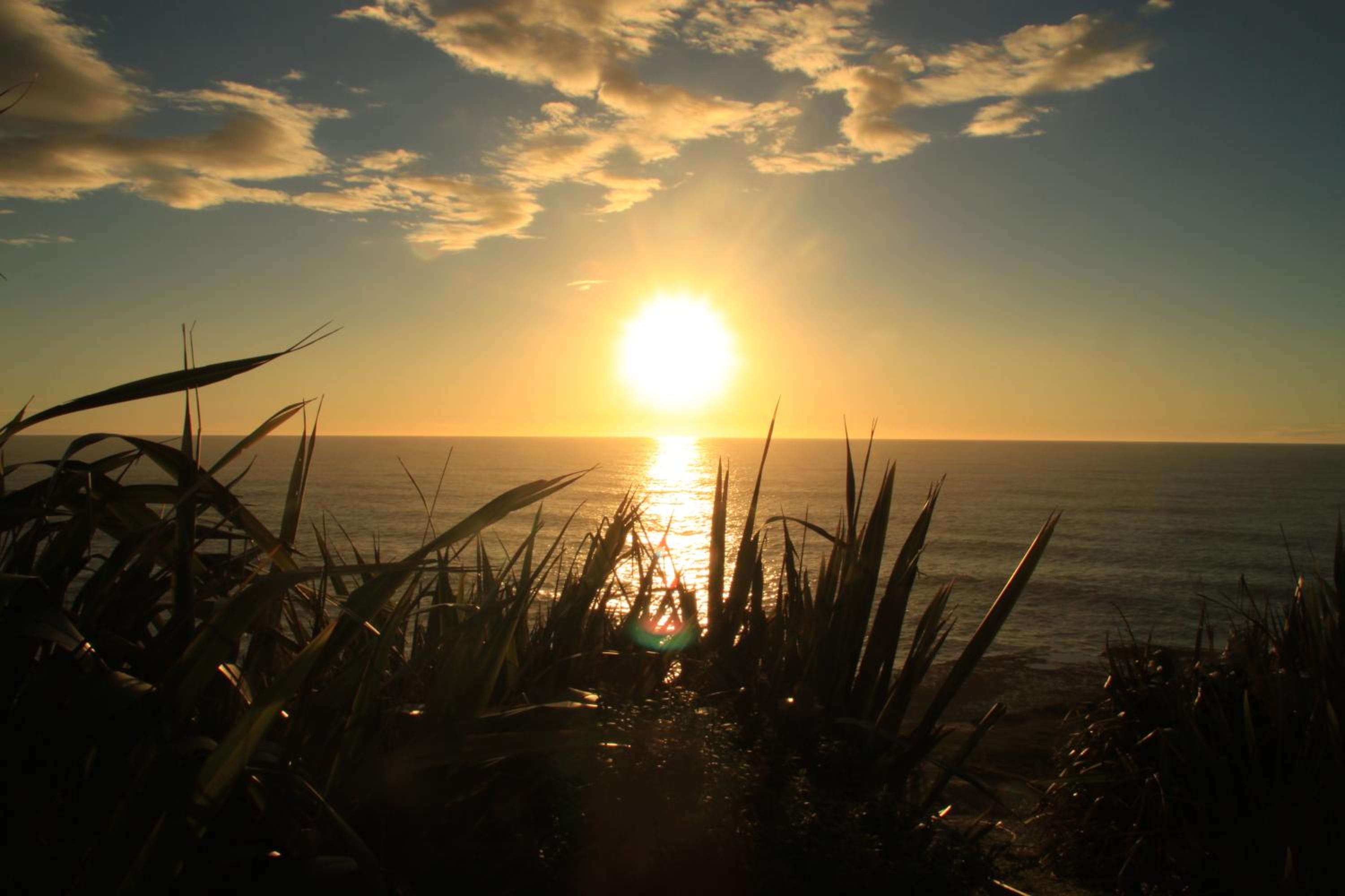 Te Nikau Retreat