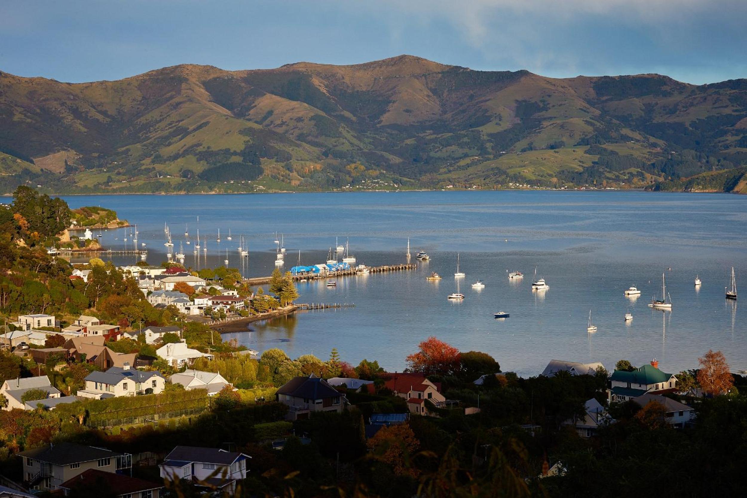 Akaroa holiday home spacious and quiet with stunning harbour views and close to town