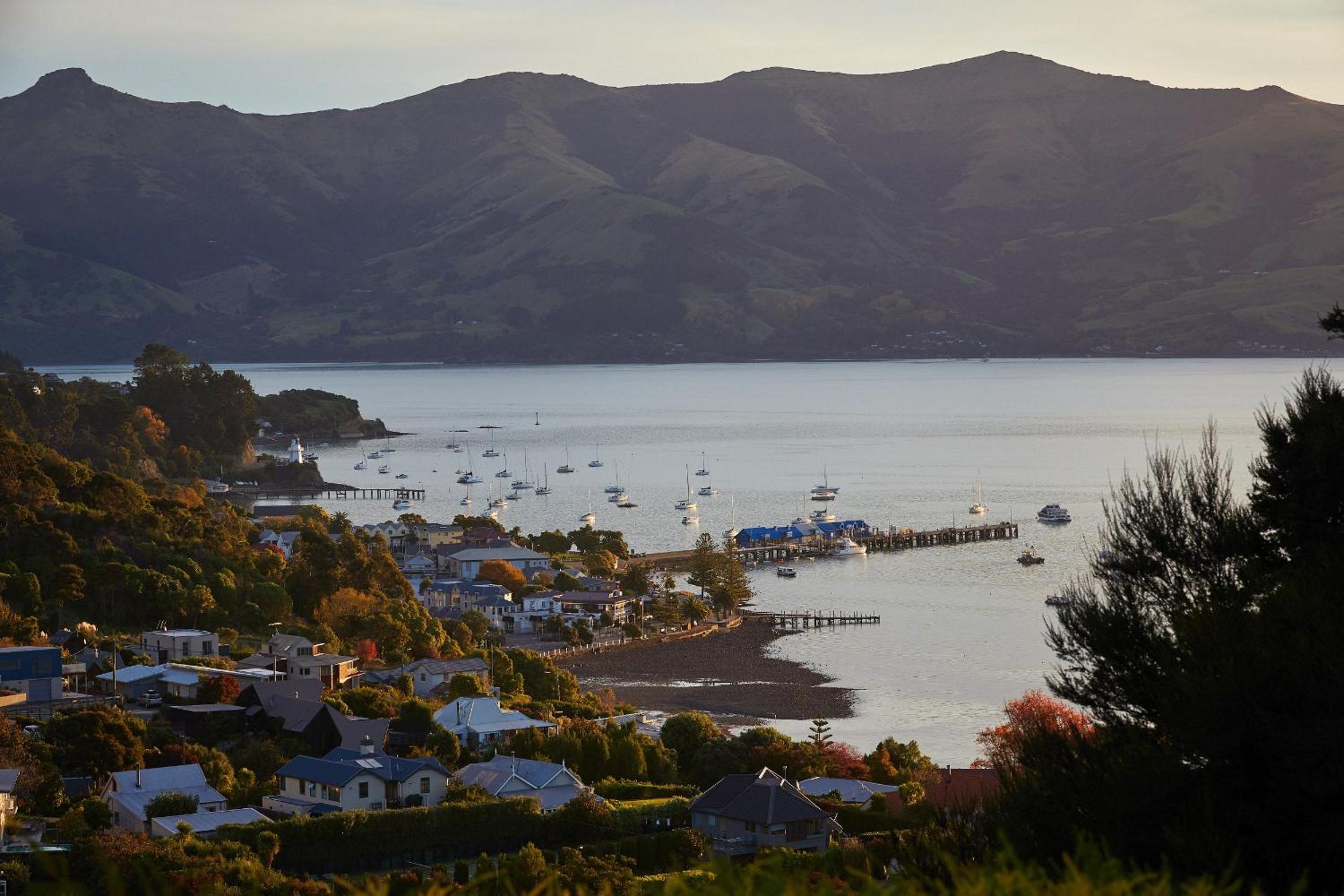 Akaroa holiday home spacious and quiet with stunning harbour views and close to town