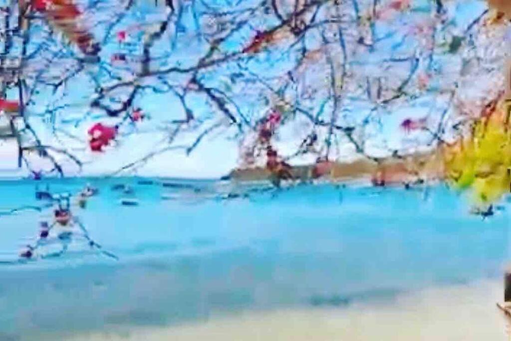 Casa de Praia - Búzios