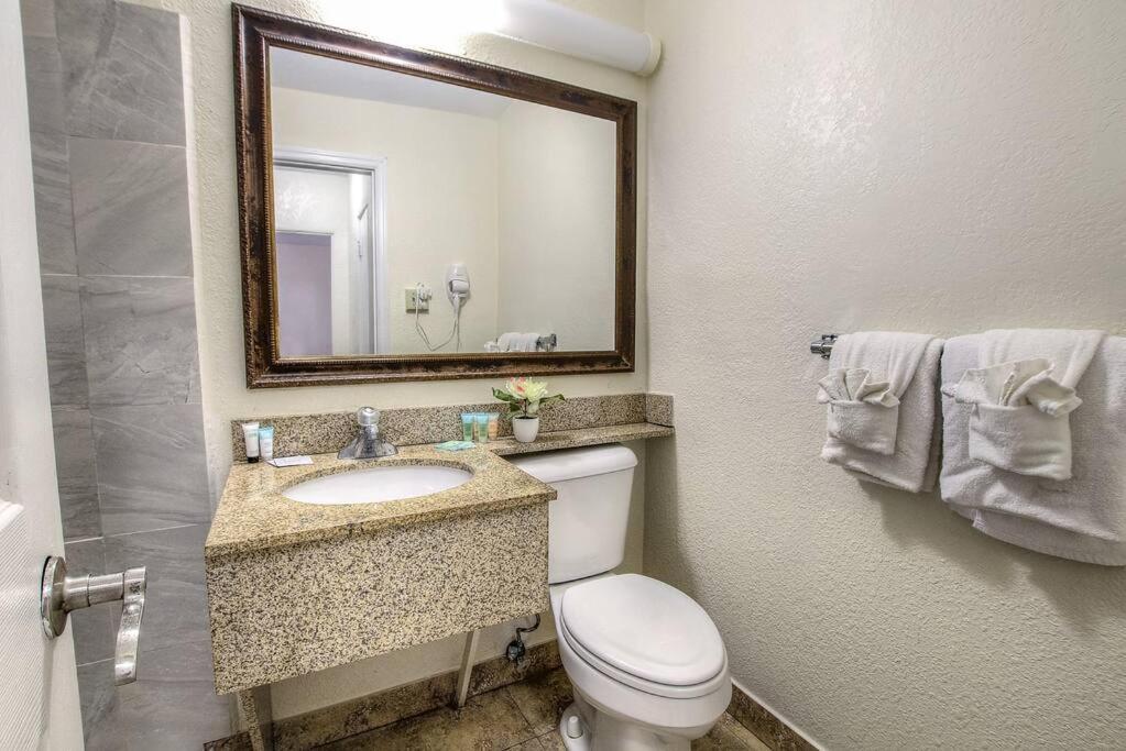 1BR Scenic Beachfront Retreat*104* view 4