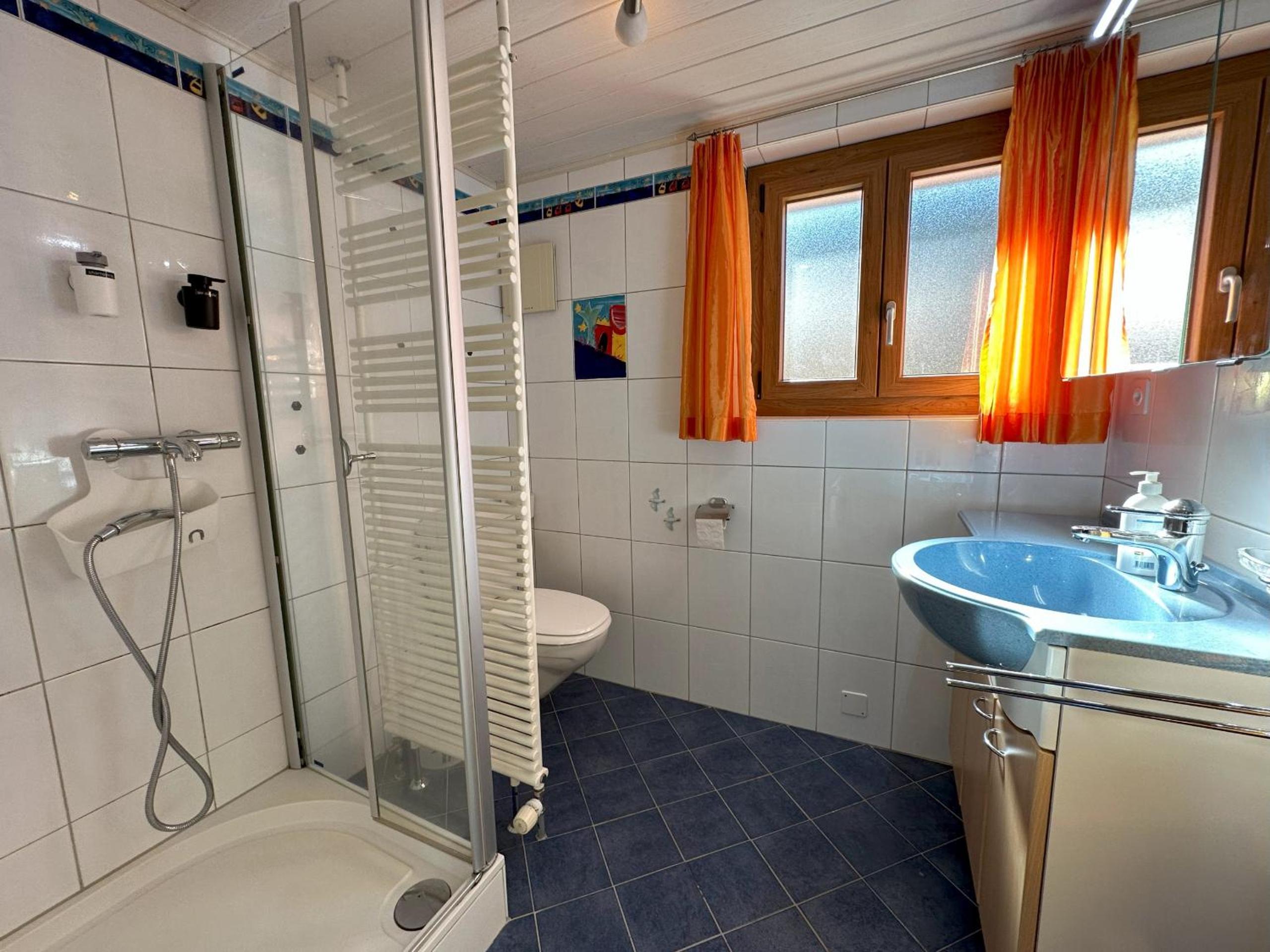 Perfect Mountain Condo - 4 Valleys - Swiss Alps