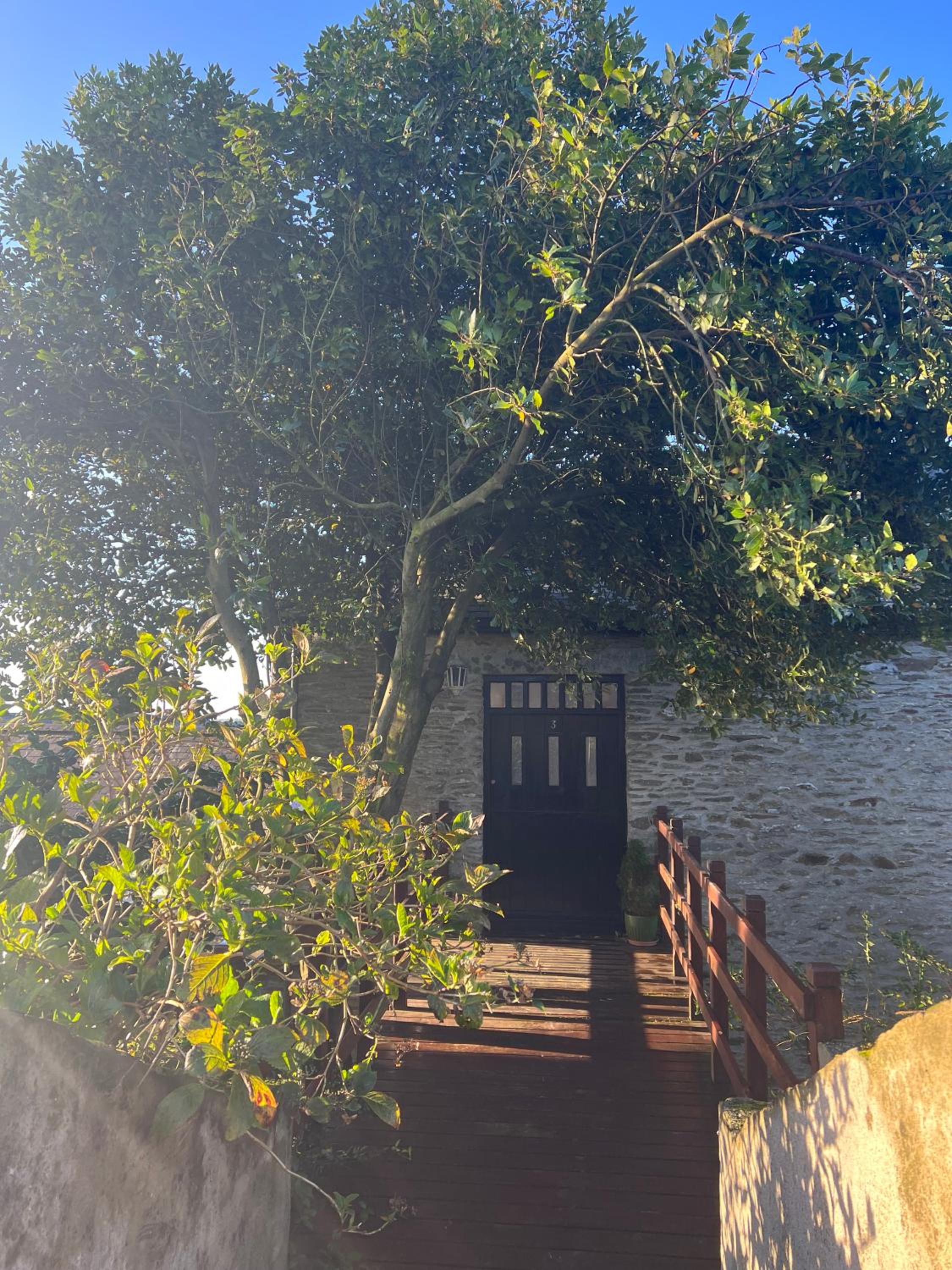 Bay Tree Barn