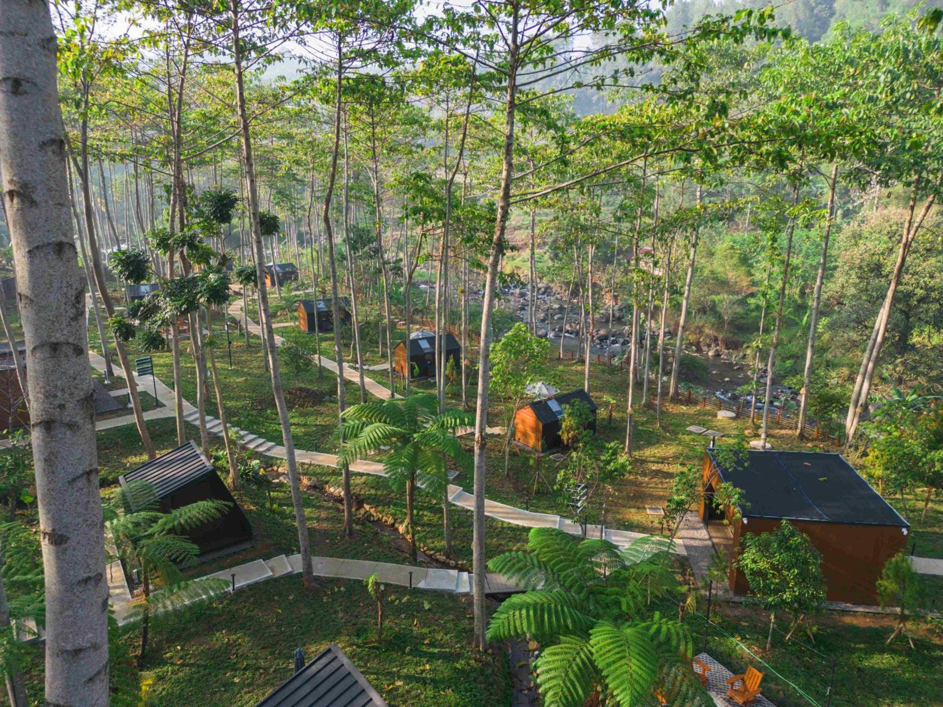 Bobocabin The Tavia, Puncak