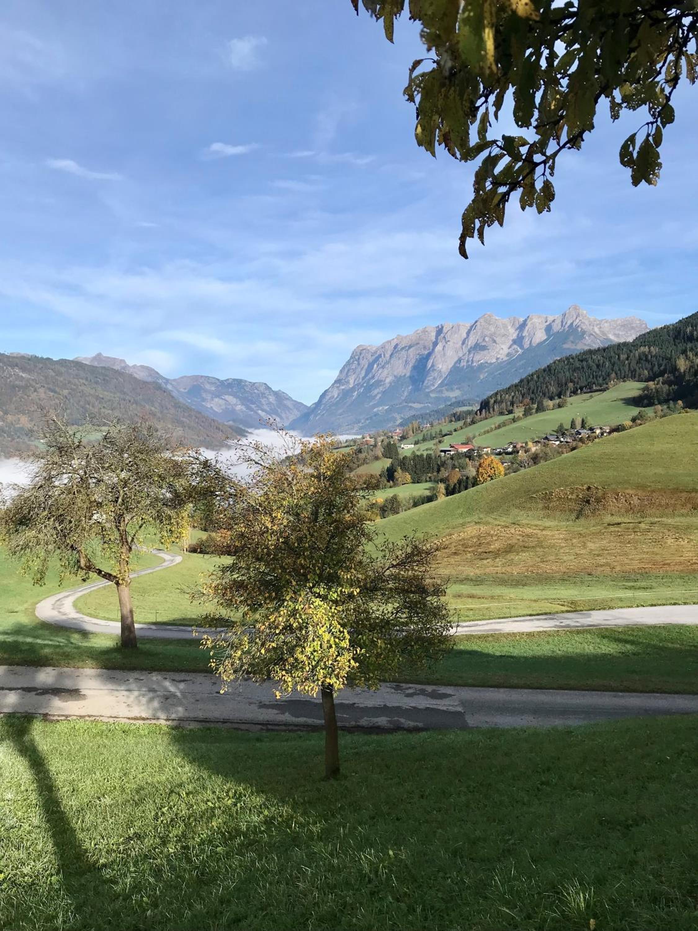 Bio Schartenhof