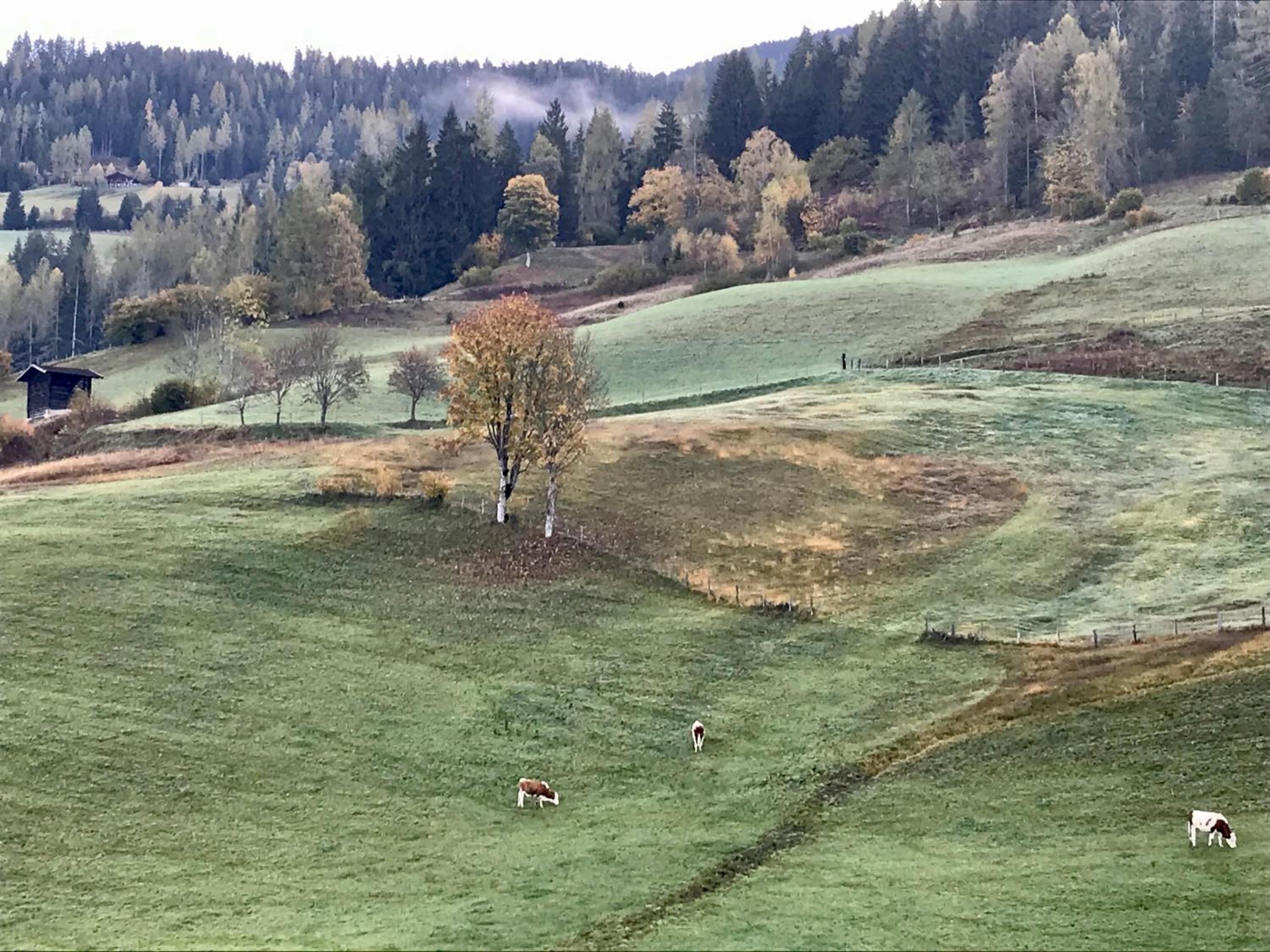 Bio Schartenhof