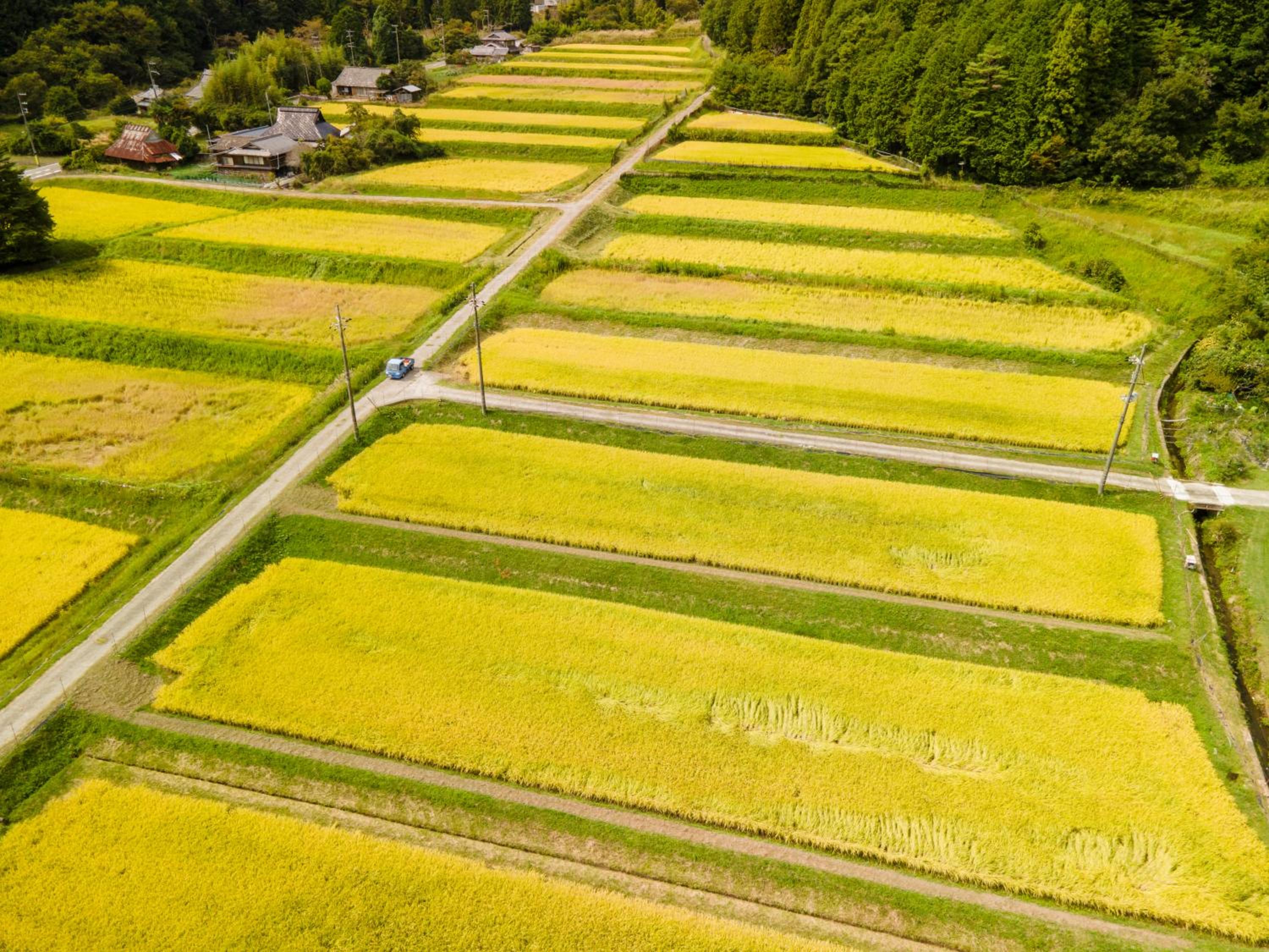 OSAKA NOSE Farmer's Guest House　YASUDA FARM view 4