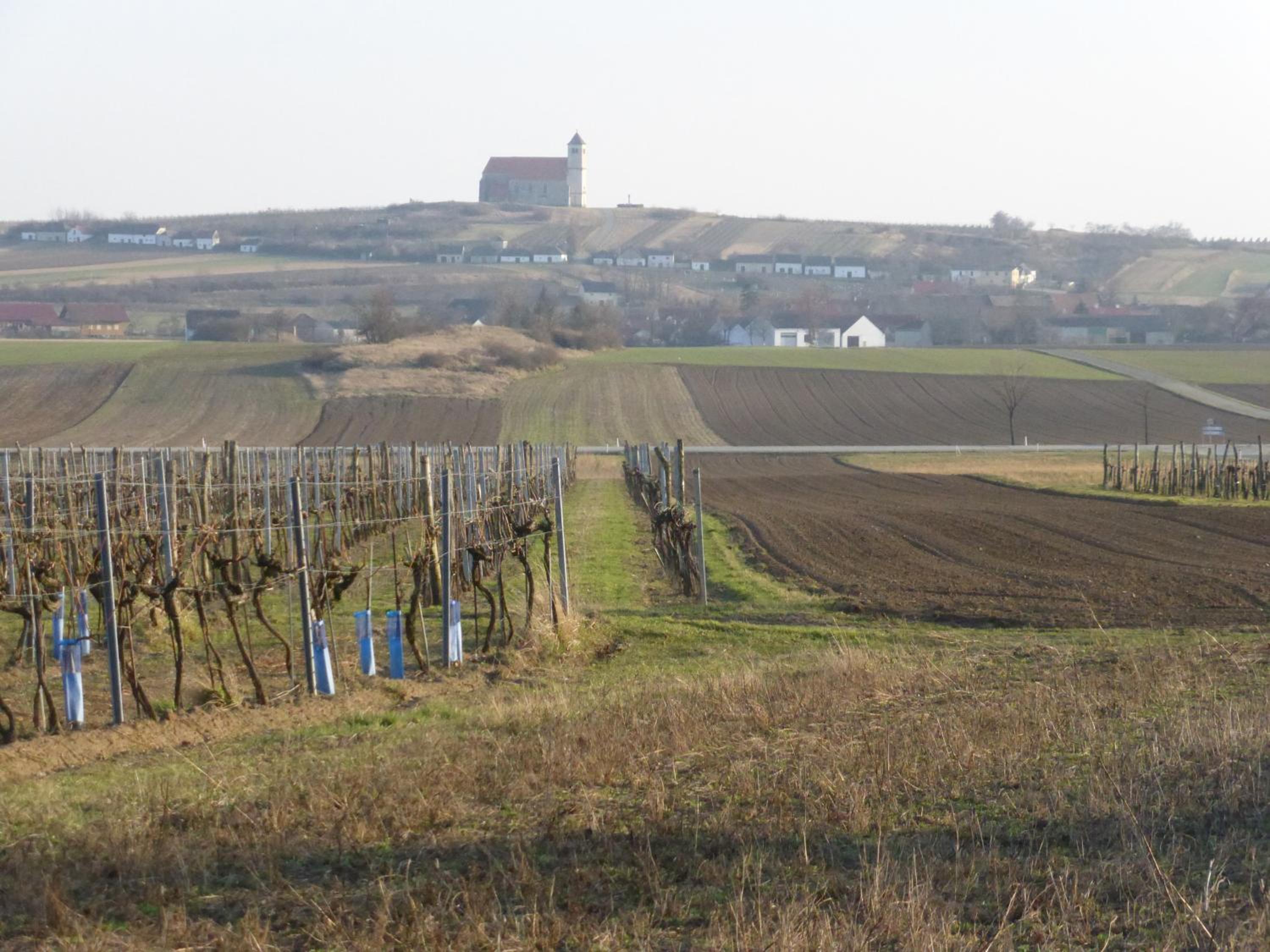 dasFritsch-Historisches Weinbauernhaus im Grünen