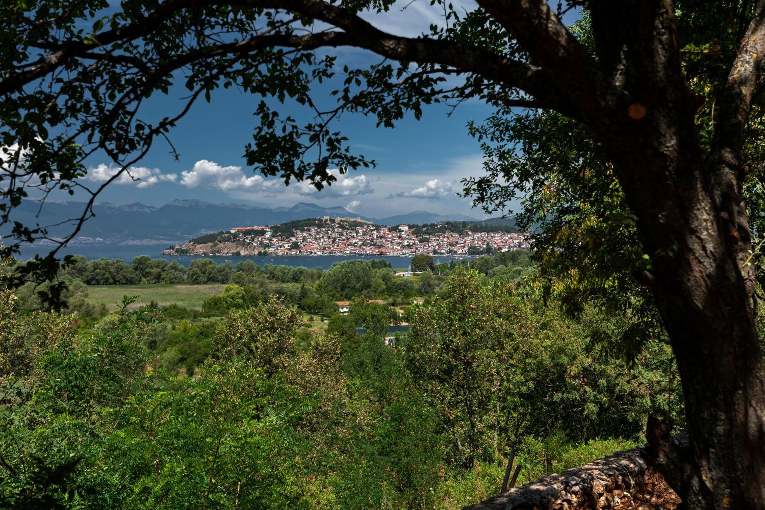 Bitrak House Megdani