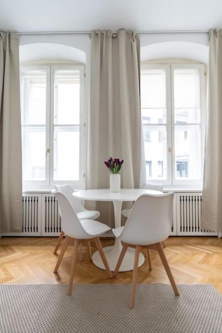 Historic Heart Apartment Vienna