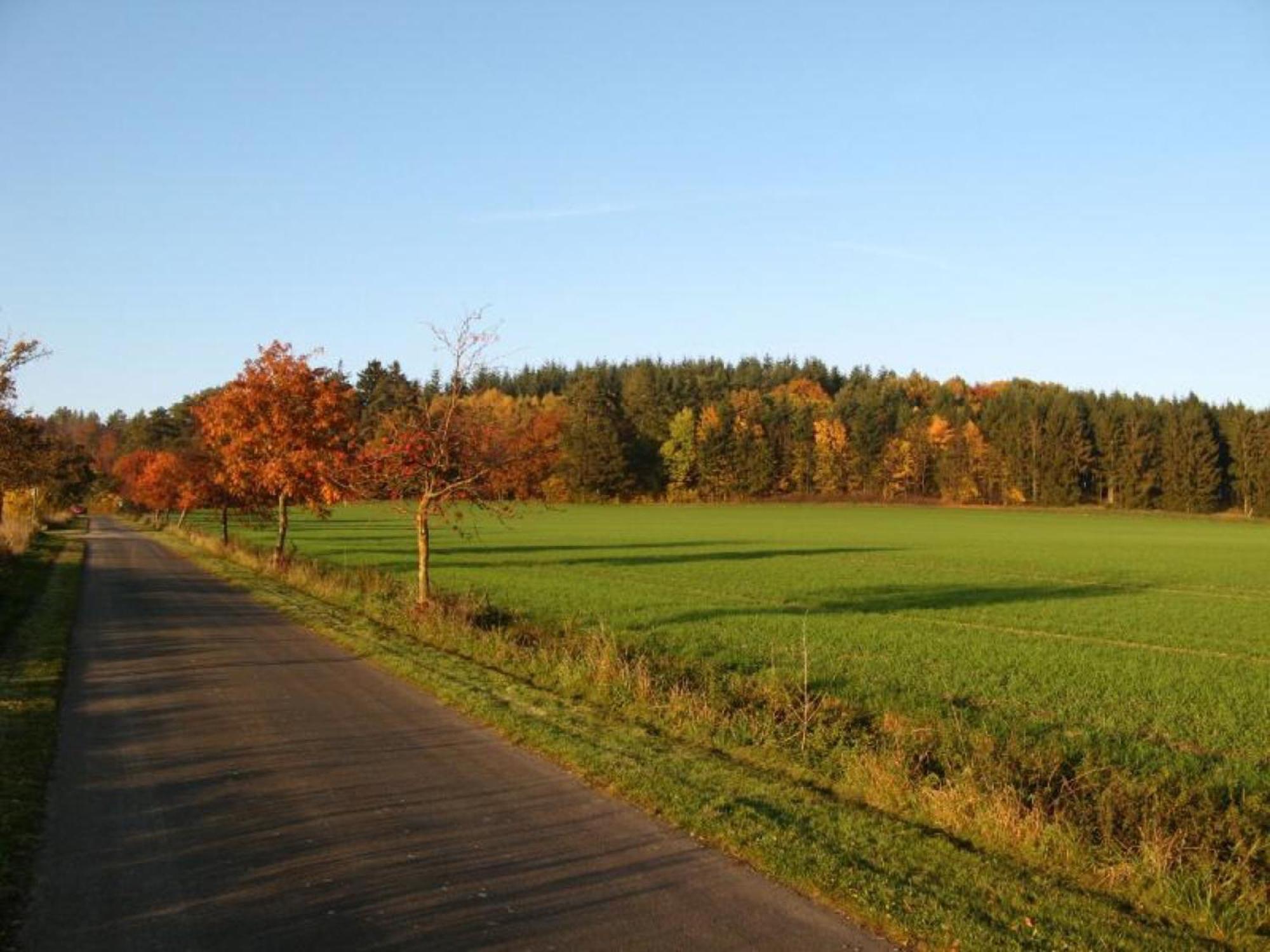 Photo 22