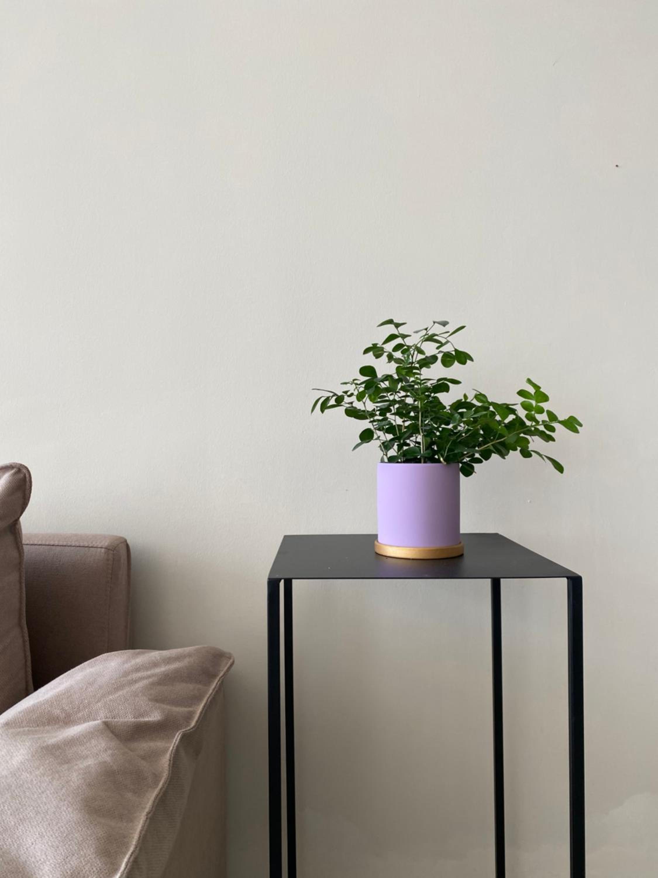 Pomelo Hostel Xingping