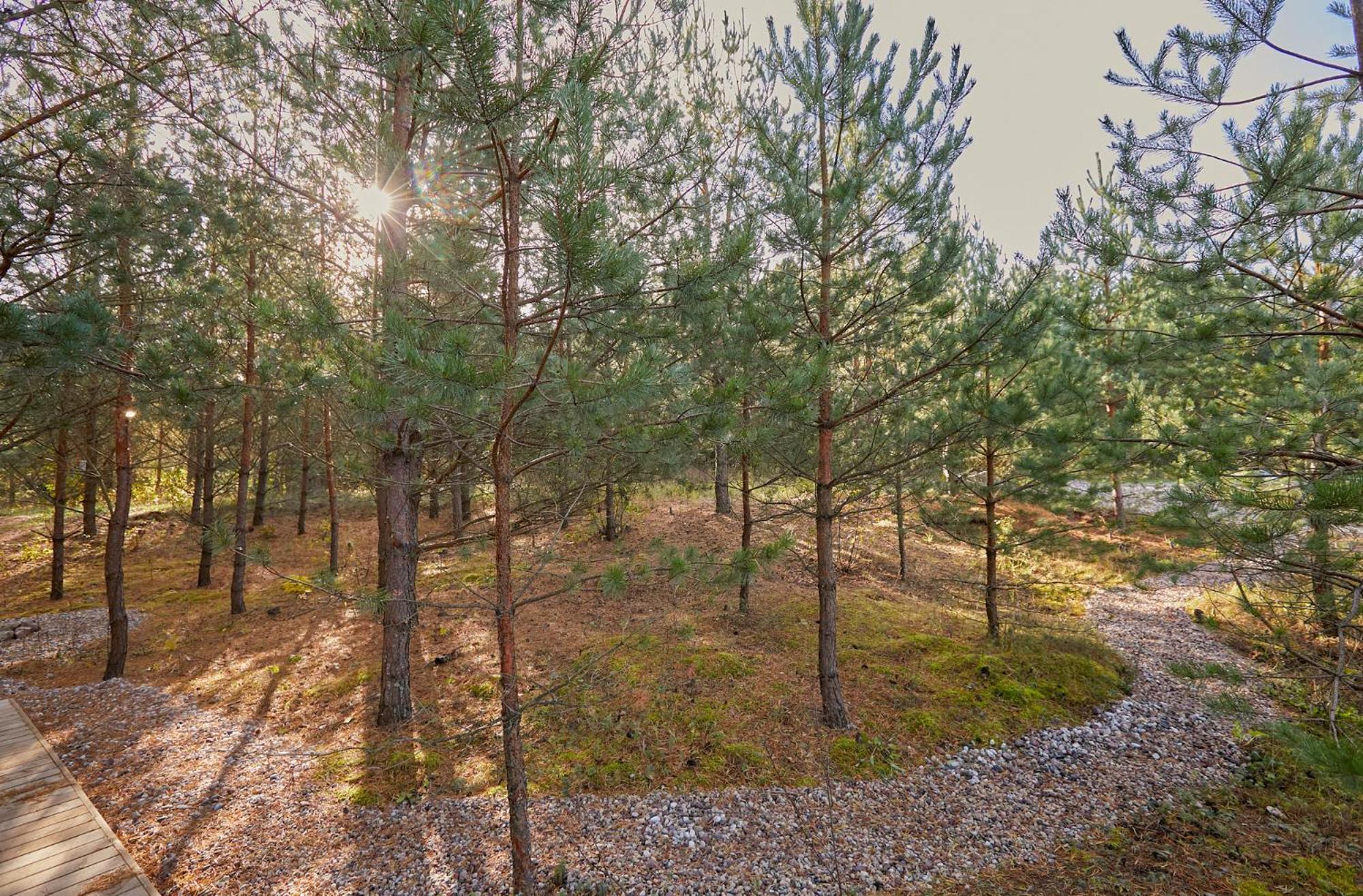 Forestic Lietuva