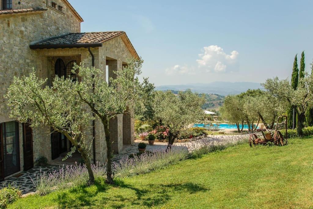 Villa with private pool near Todi. Airco & Wi-fi view 5