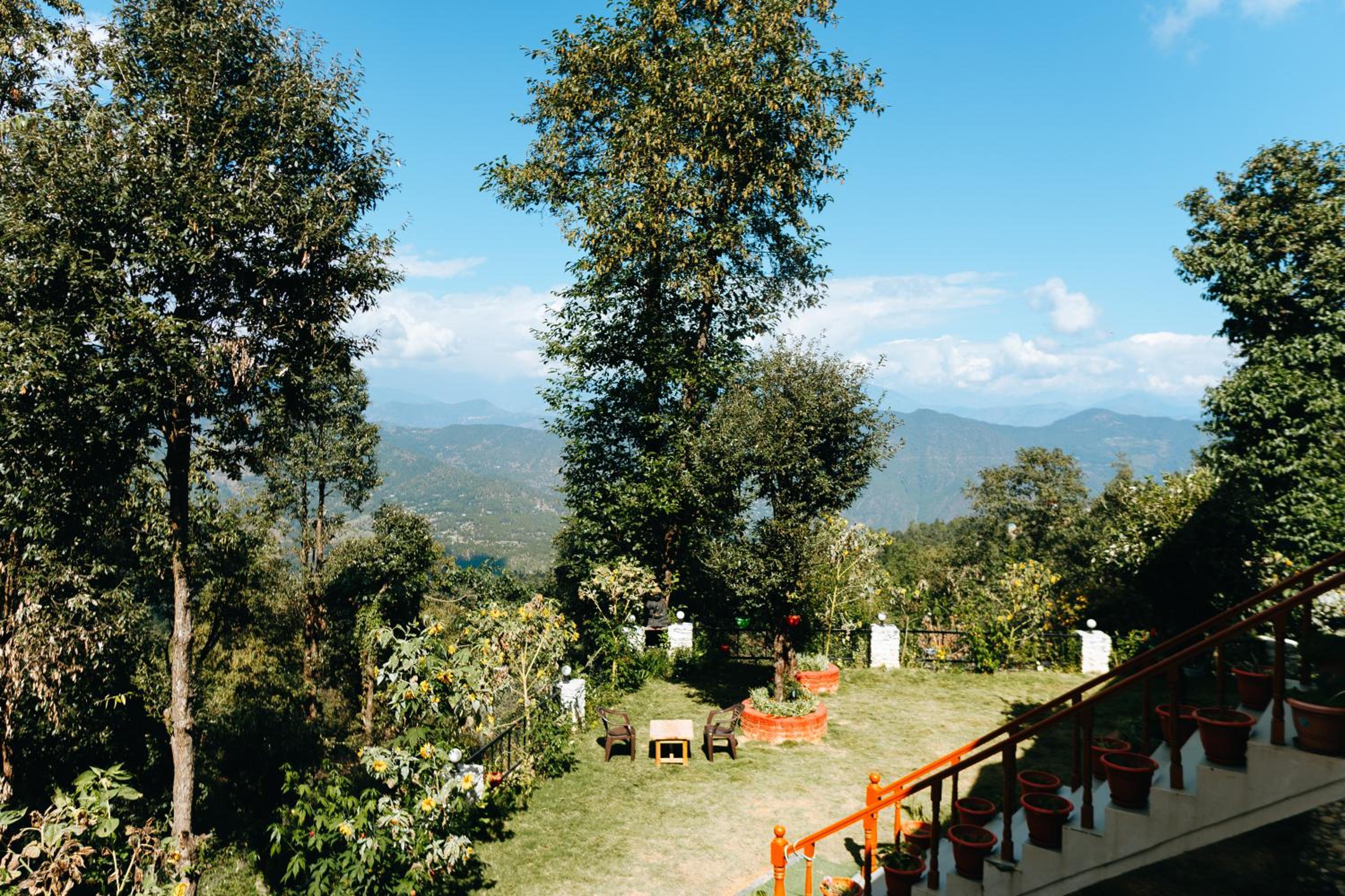 THE HIMALAYAN WOODS, CHAUKORI