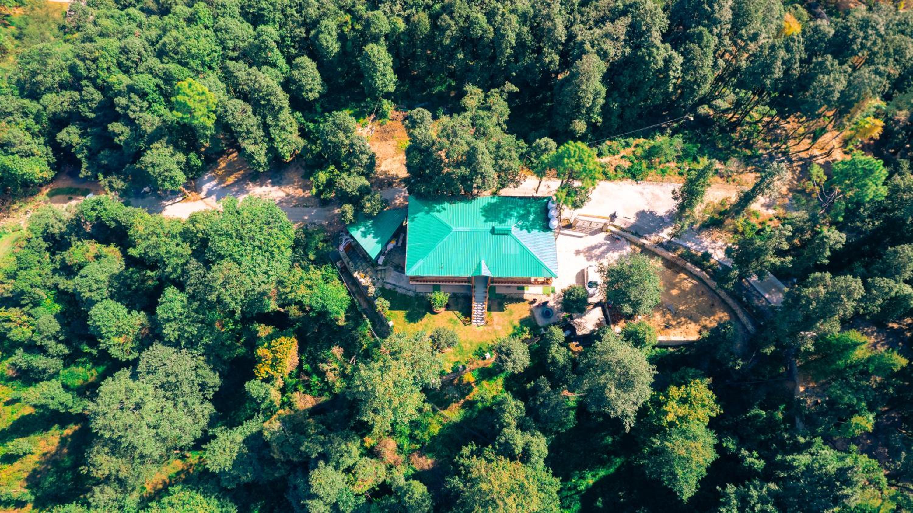 THE HIMALAYAN WOODS, CHAUKORI