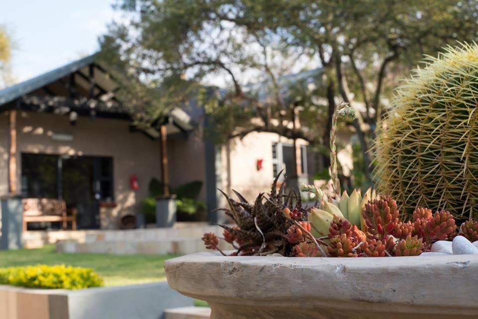 Photo 54