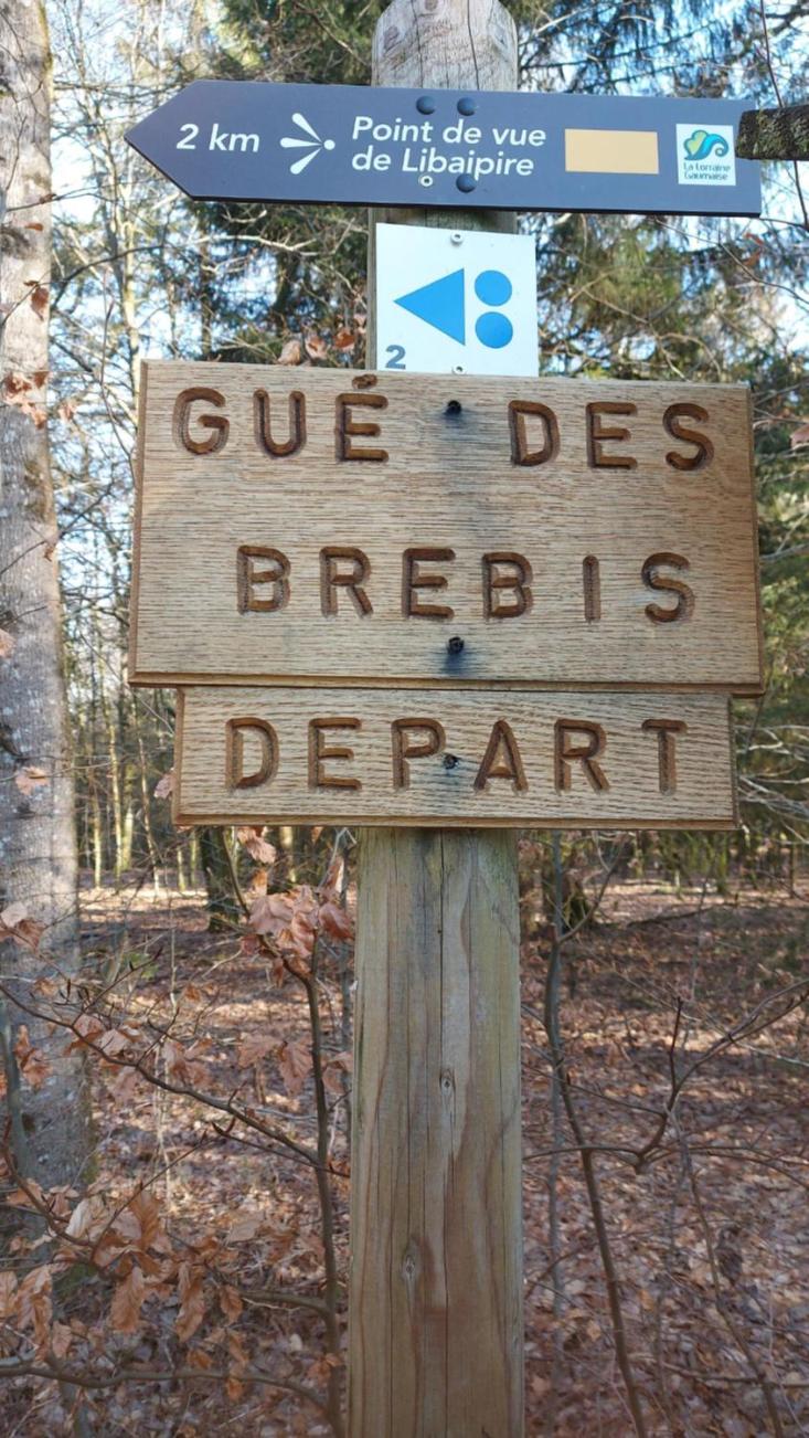 Chez Rosé