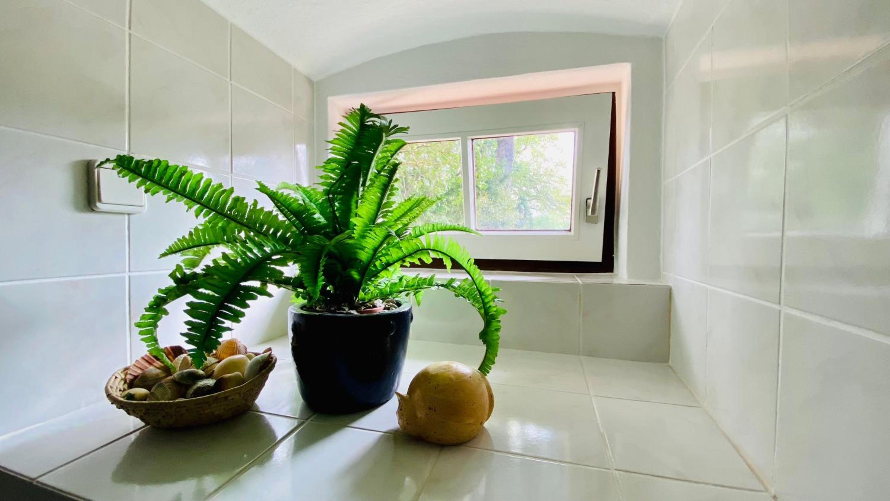 Ferienwohnung Villa am Haussee