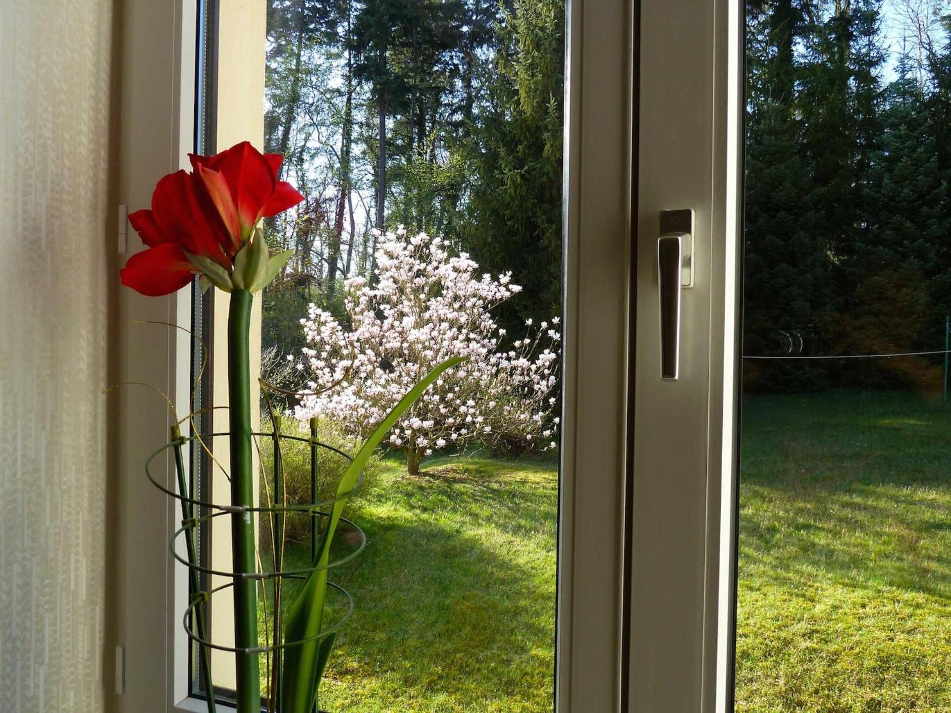 Ferienwohnung Villa am Haussee