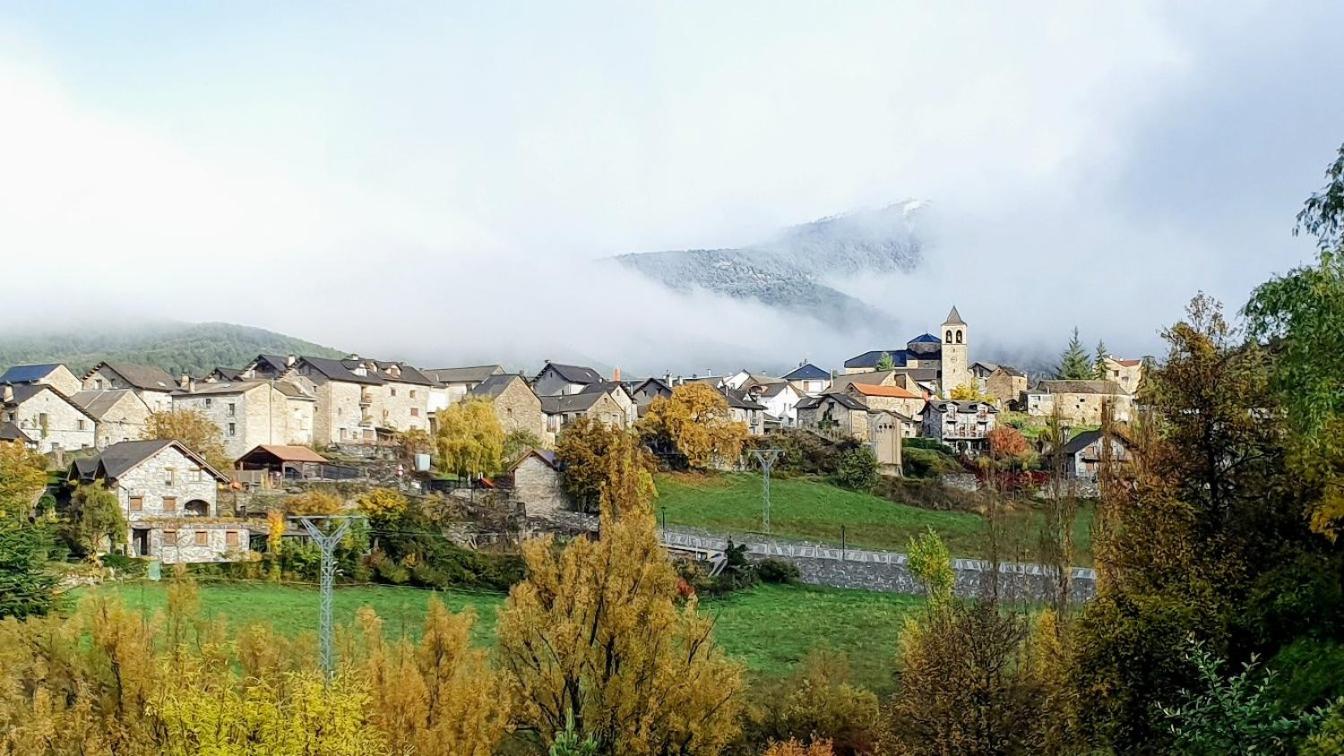 Photo 44