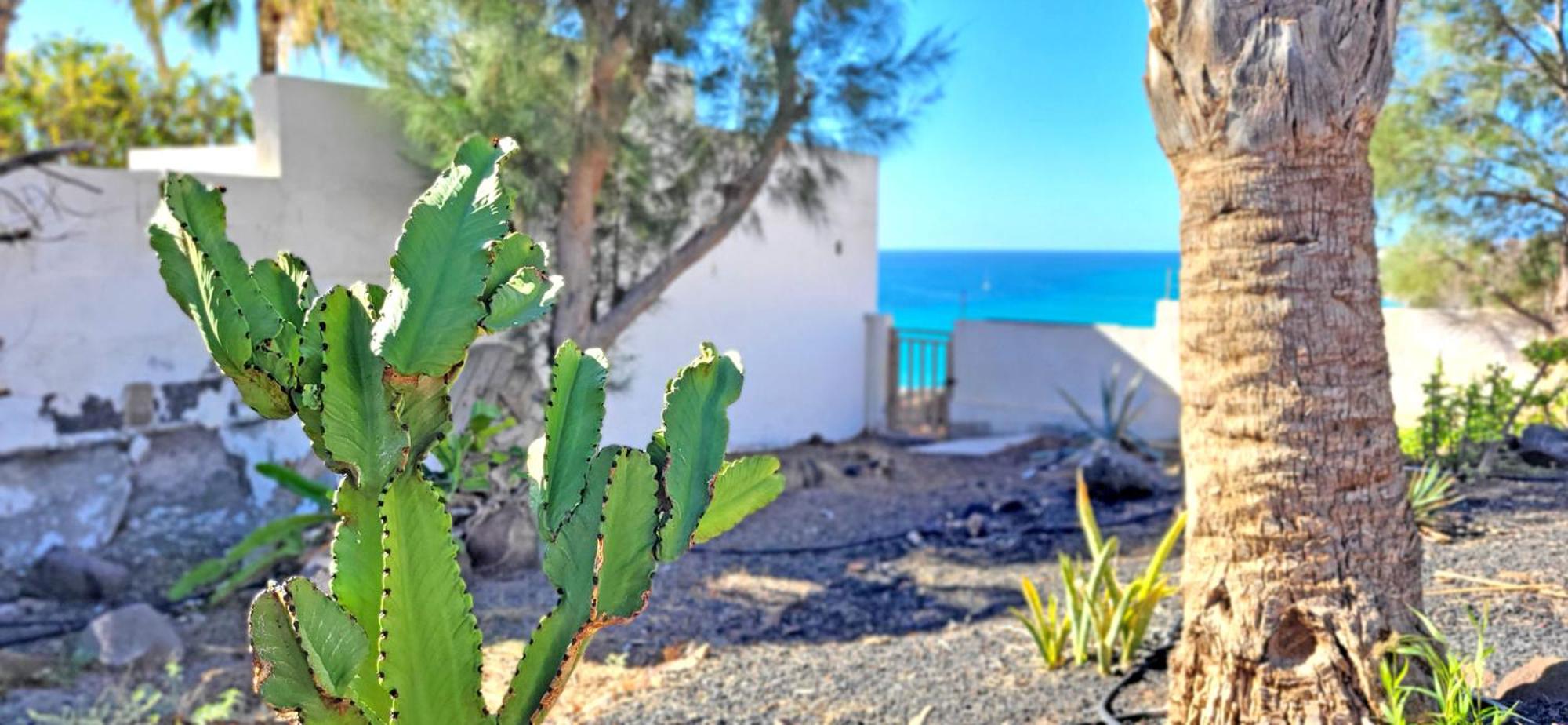 Casa Perrito Gris