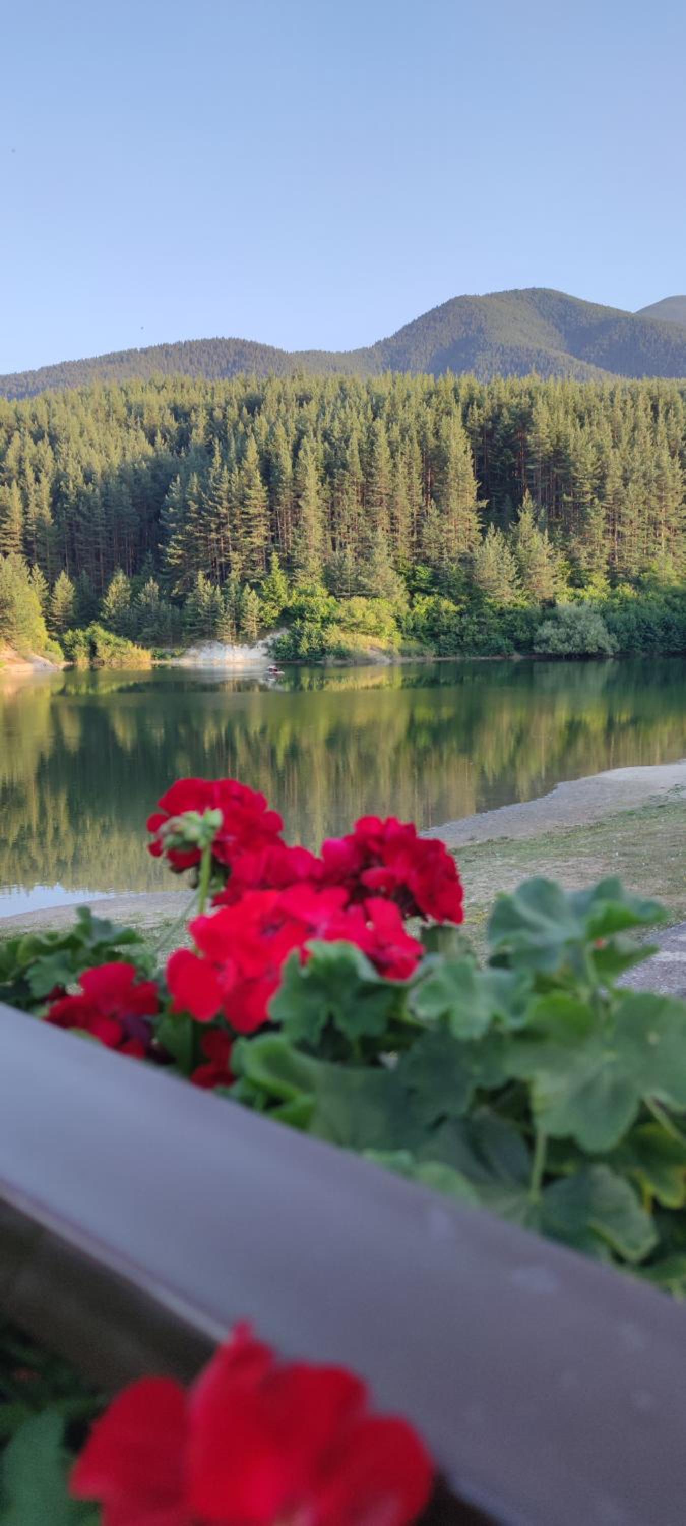 St Ivan Rilski SPA Luxury Apartment Bansko