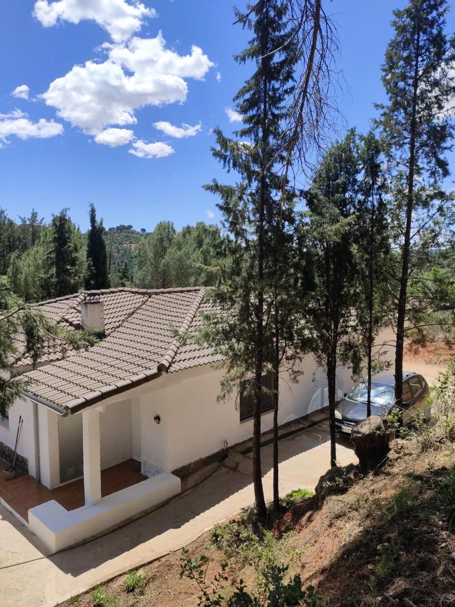 Bonita casa blanca en el bosque. view 3