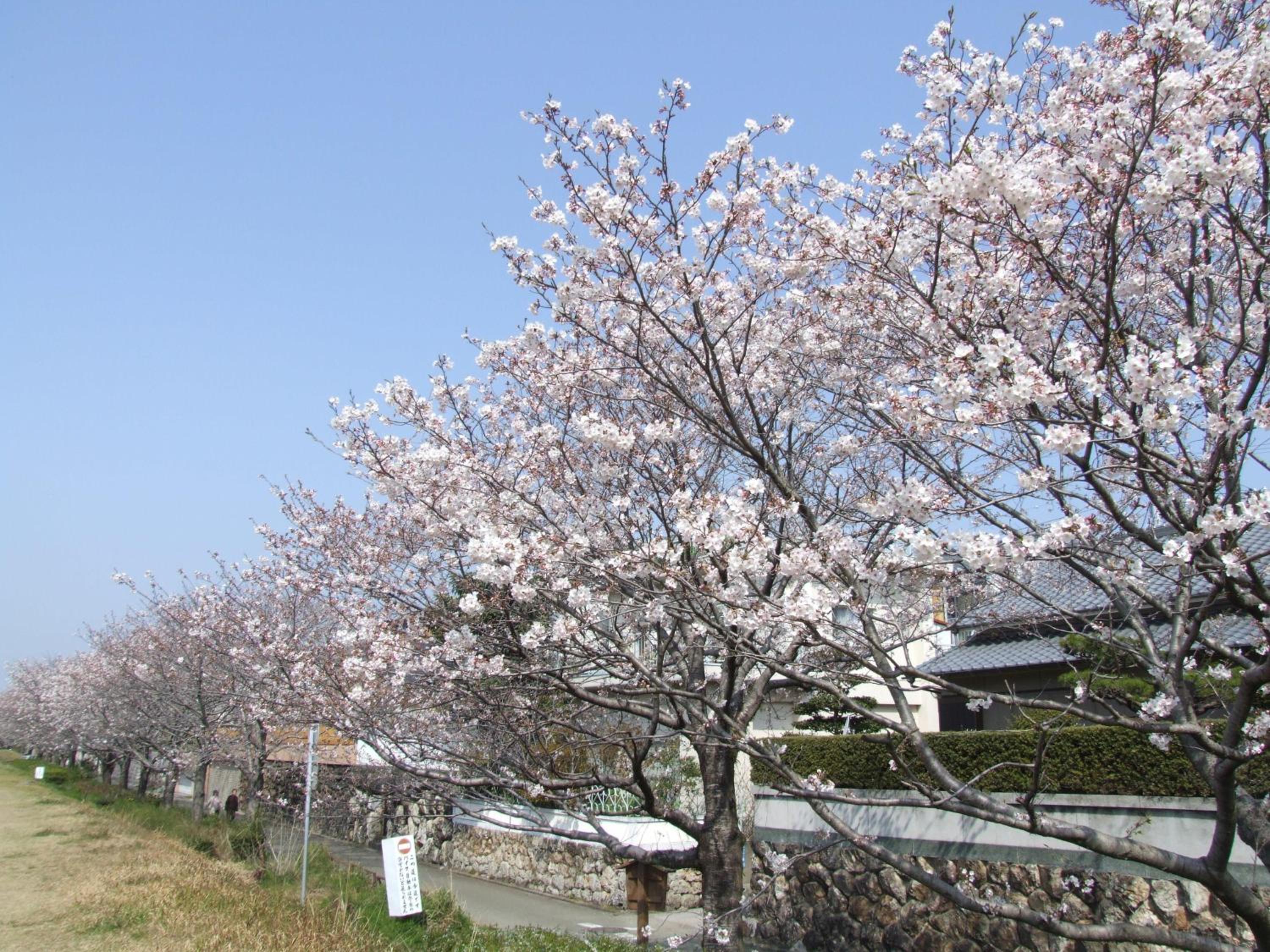 Jyoseikan