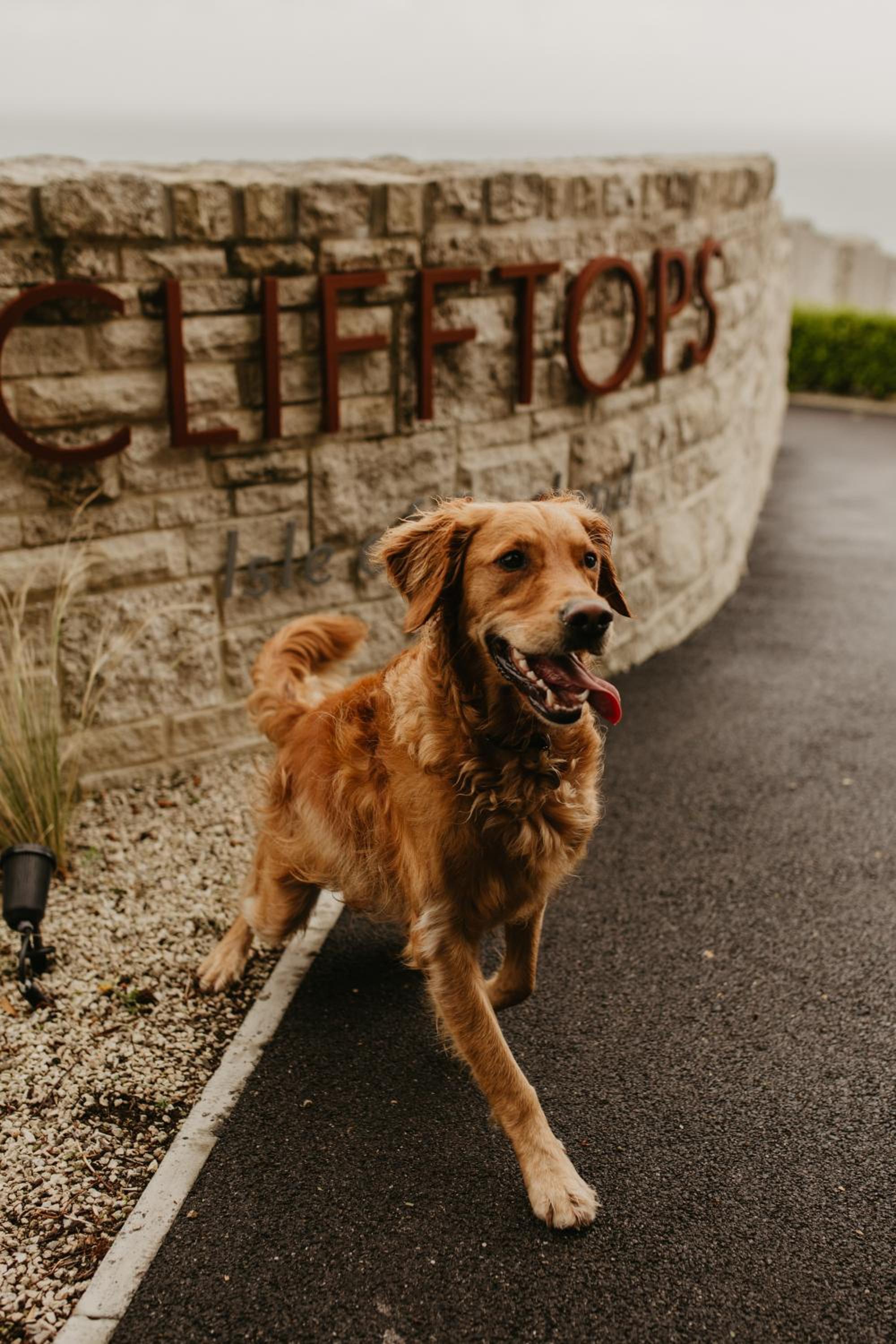 Clifftops Lodge