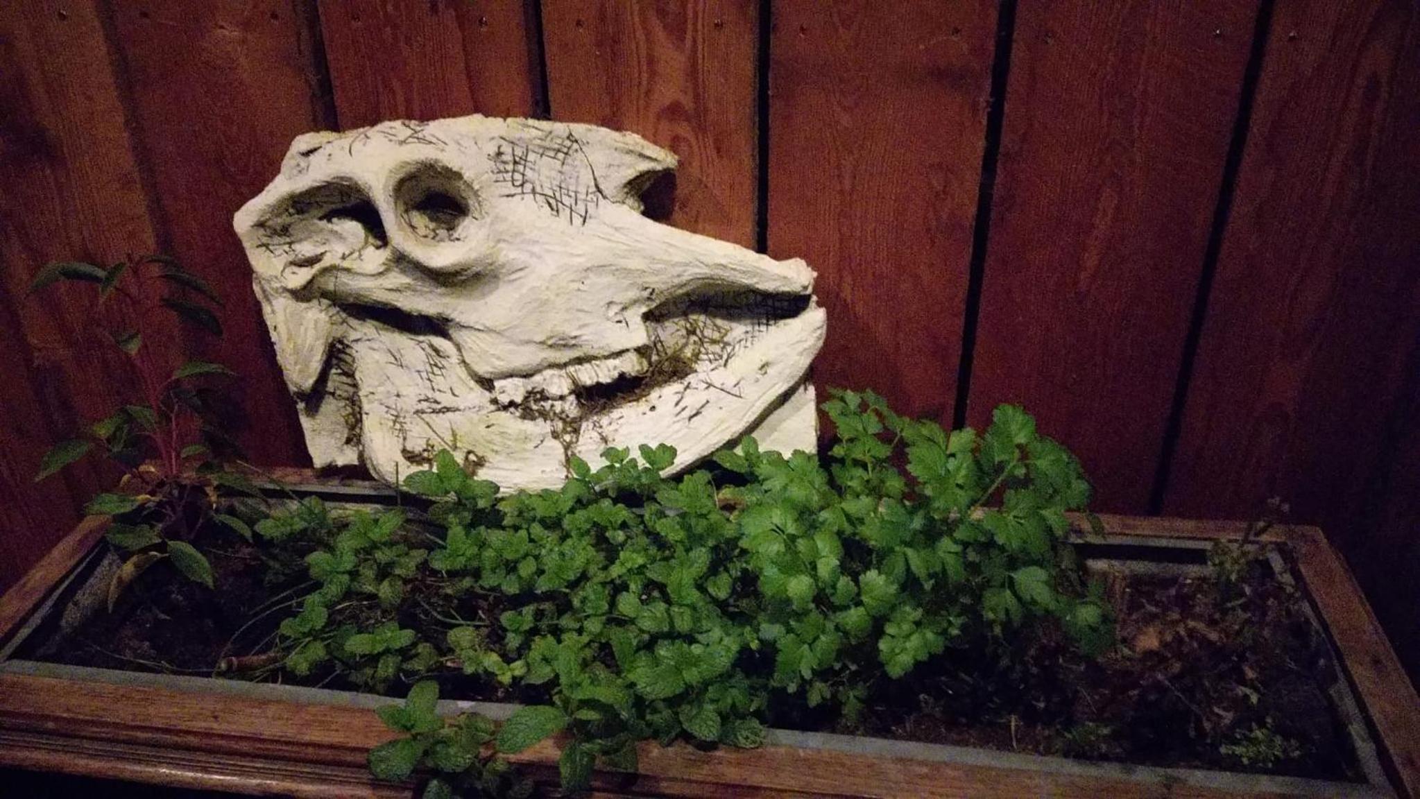 Chez Rosé