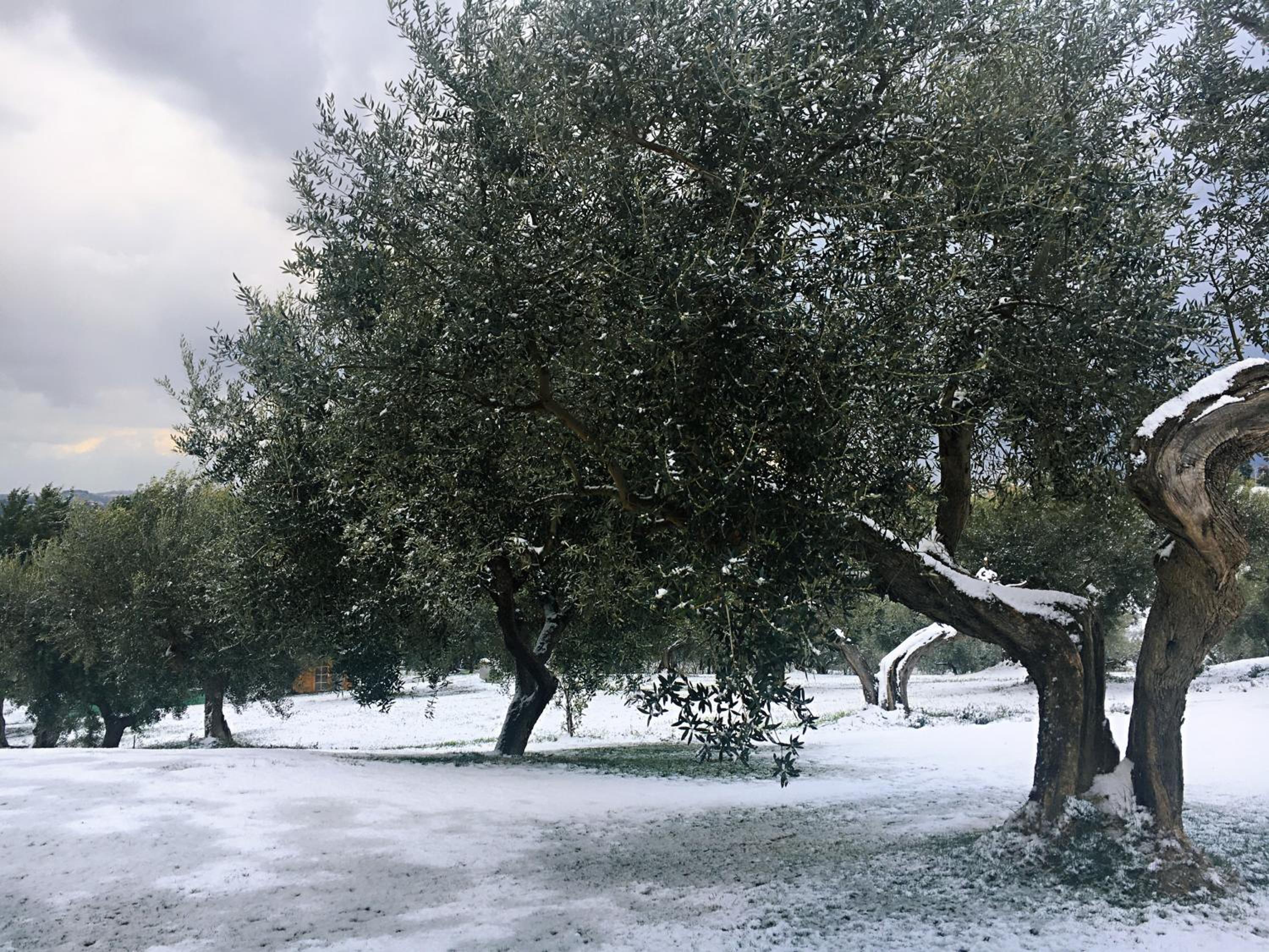 Villa di Carlone view 3