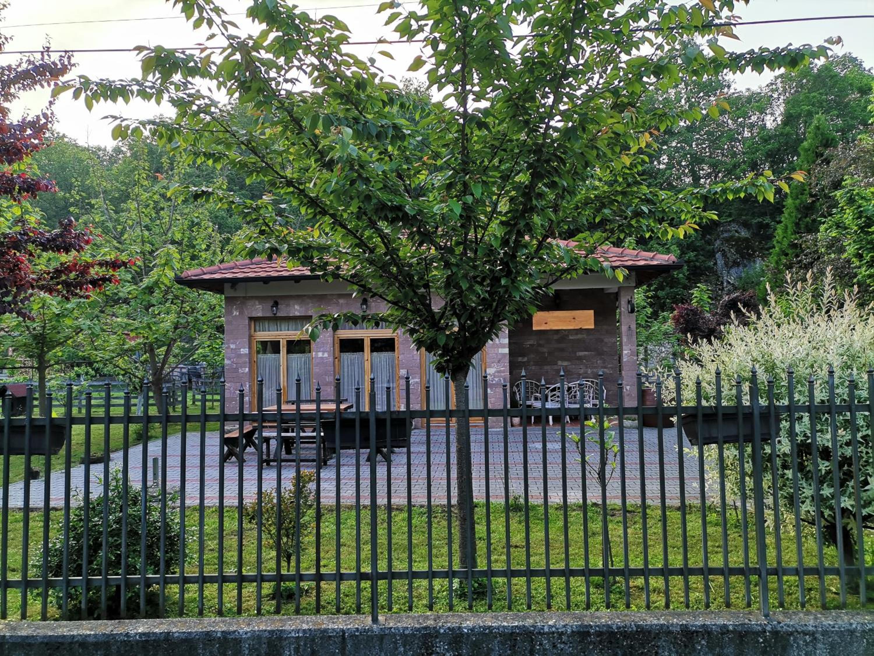 Photo 15