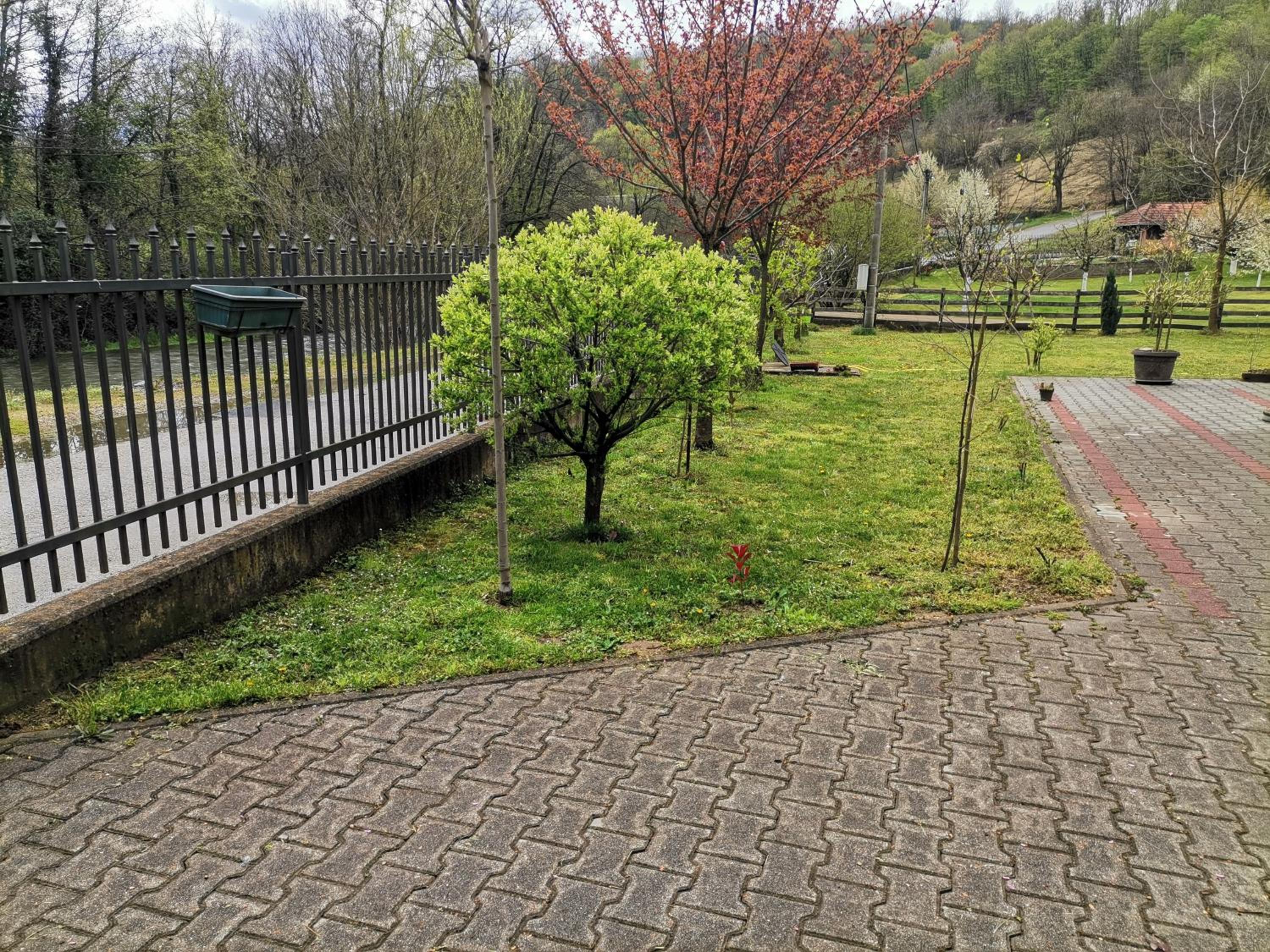 Photo 22