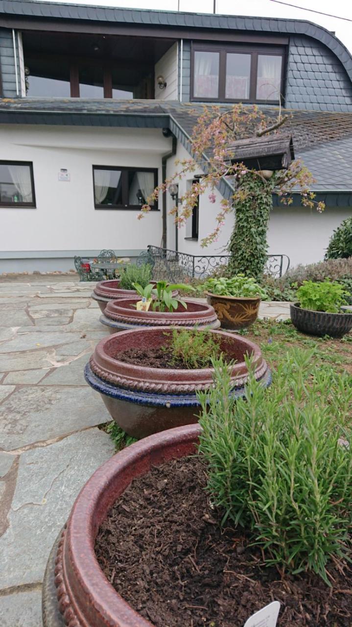 Schöne EinliegerWhg (74m²) in Villa mit Traumlage