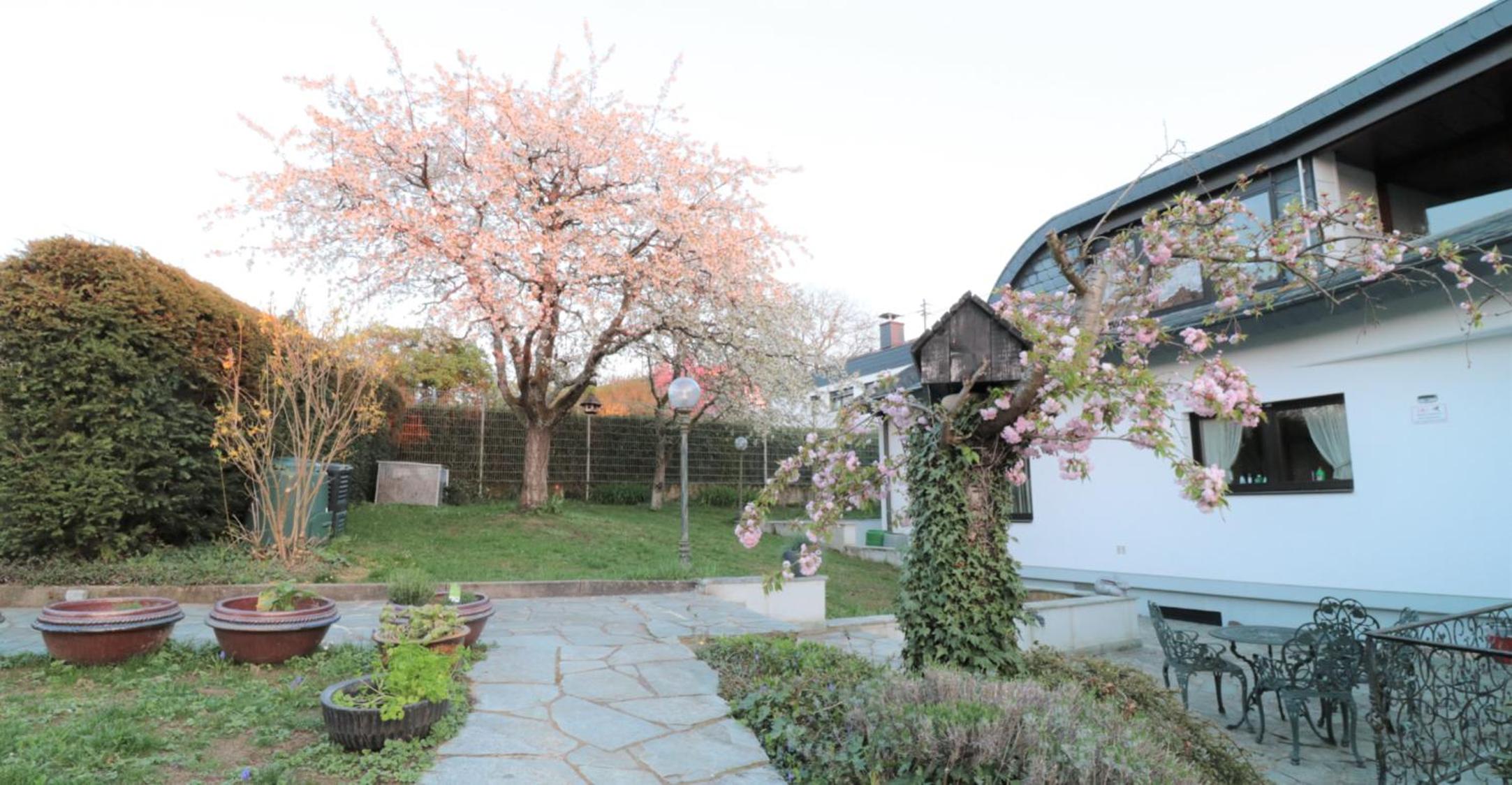Schöne EinliegerWhg (74m²) in Villa mit Traumlage